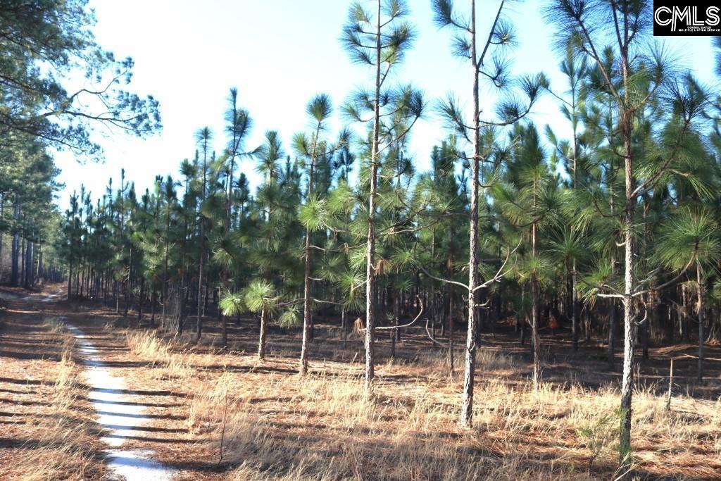 Holstein Road Wagener, SC 29164