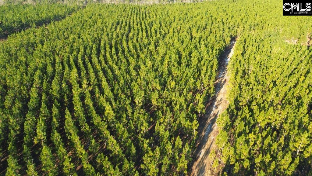 Holstein Road Wagener, SC 29164