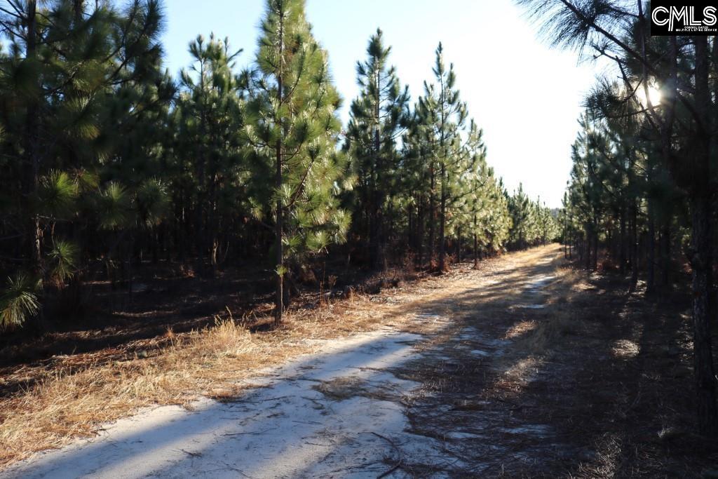 Holstein Road Wagener, SC 29164