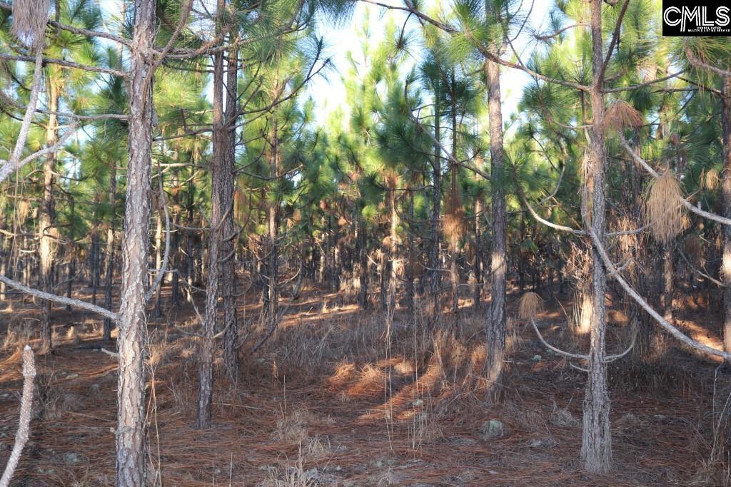 Holstein Road Wagener, SC 29164