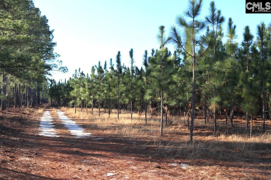Holstein Road Wagener, SC 29164