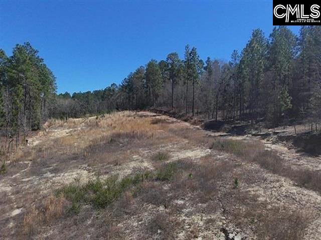 699 Crystal Springs Drive Lexington, SC 29073