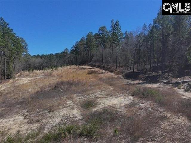 699 Crystal Springs Drive Lexington, SC 29073
