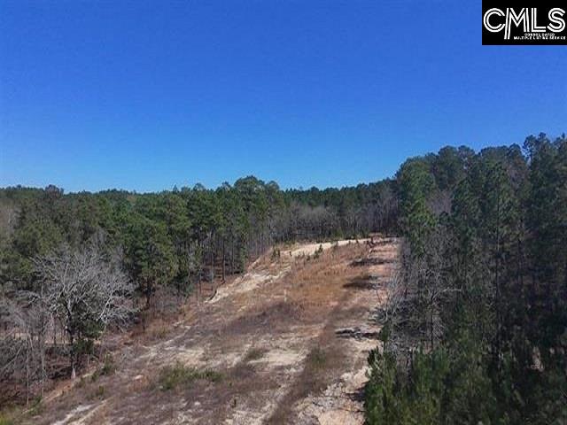 699 Crystal Springs Drive Lexington, SC 29073