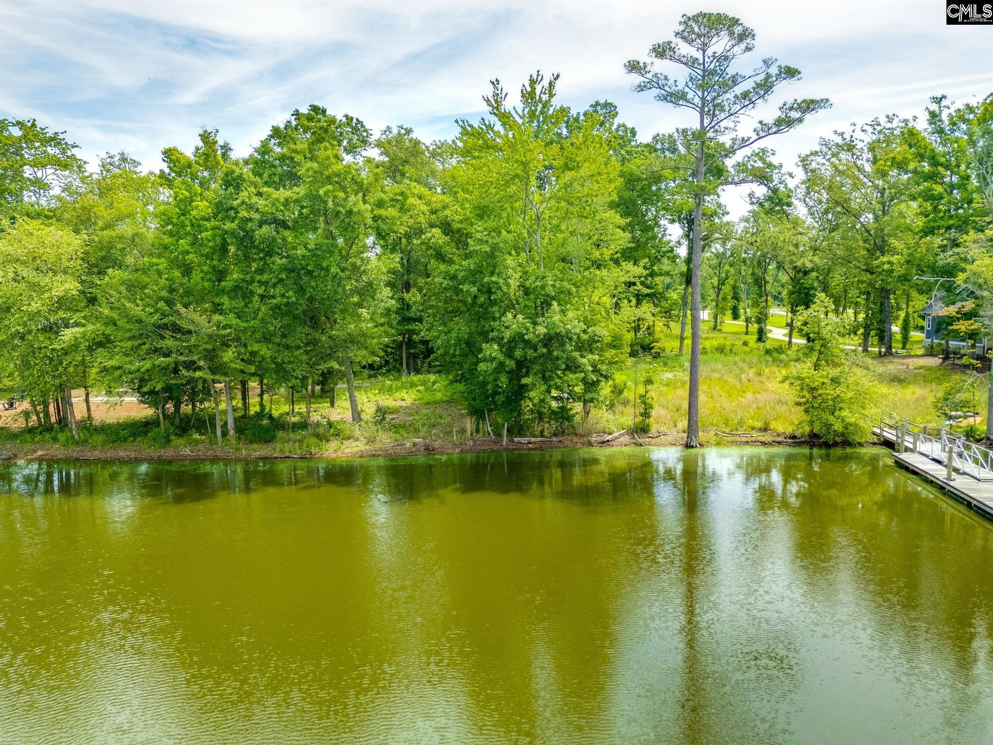 LOT 6 Longview Drive UNIT #6 Leesville, SC 29070