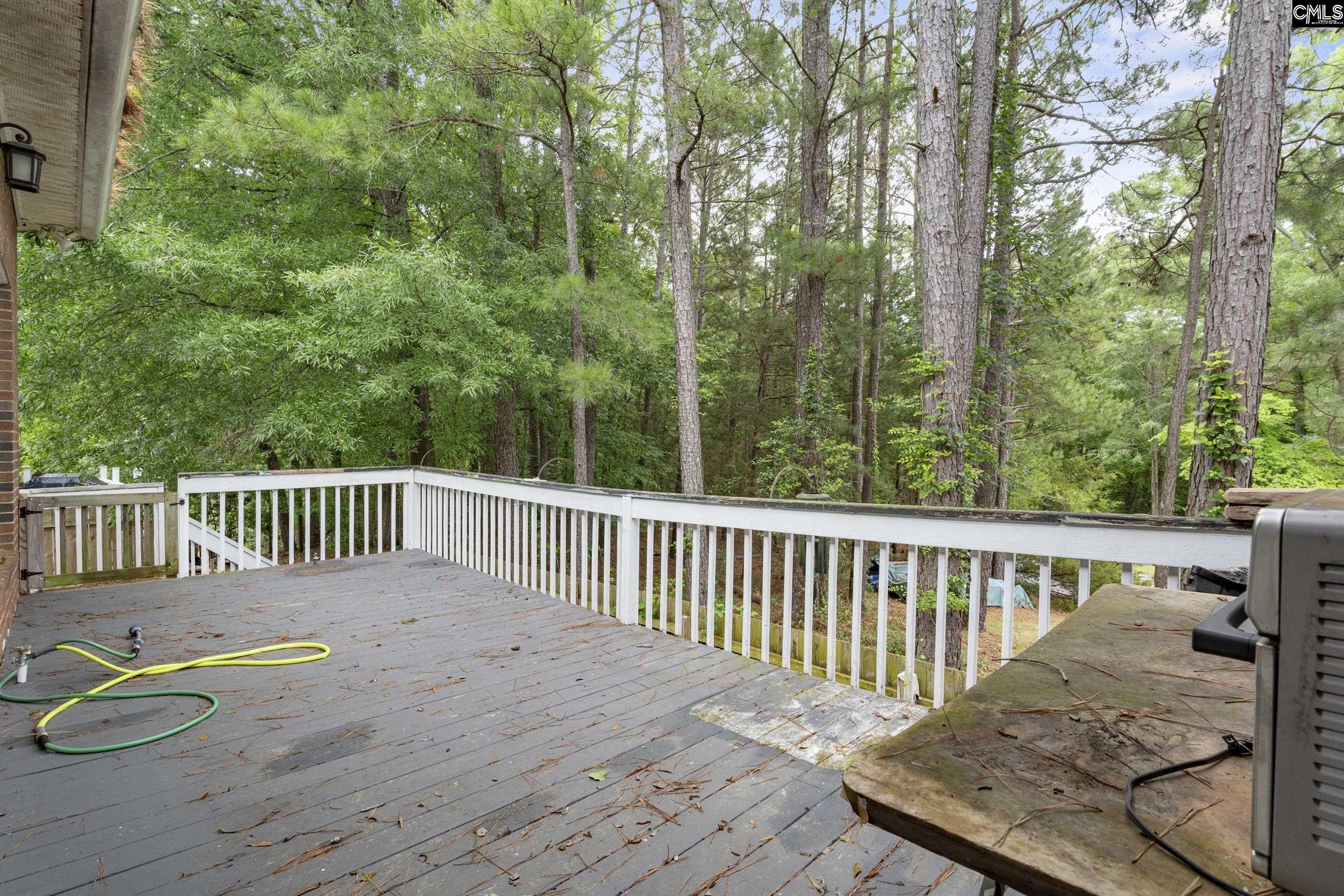 804 Willowood Parkway Chapin, SC 29036
