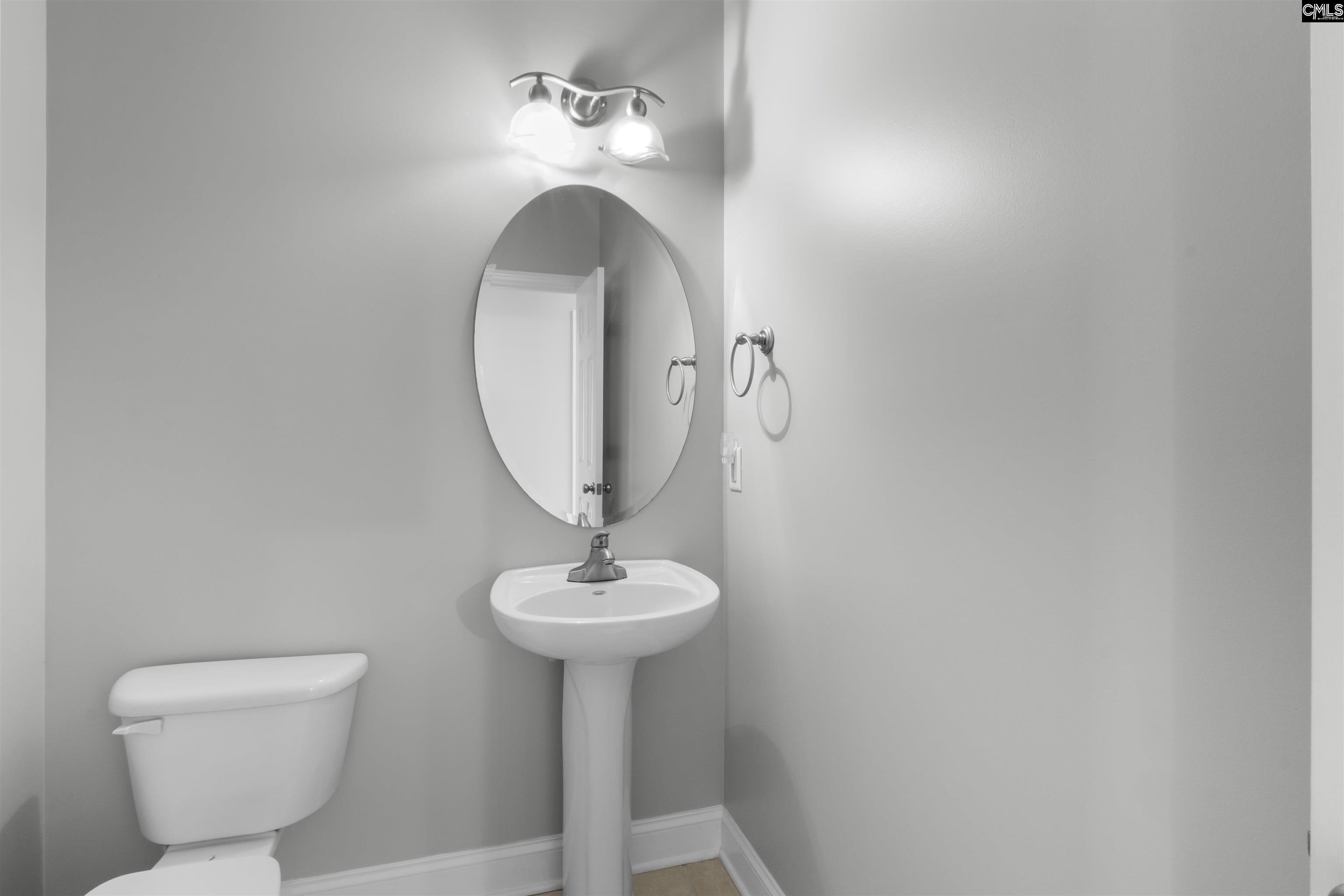 137 Royal Lythan Drive Lexington, SC 29072
