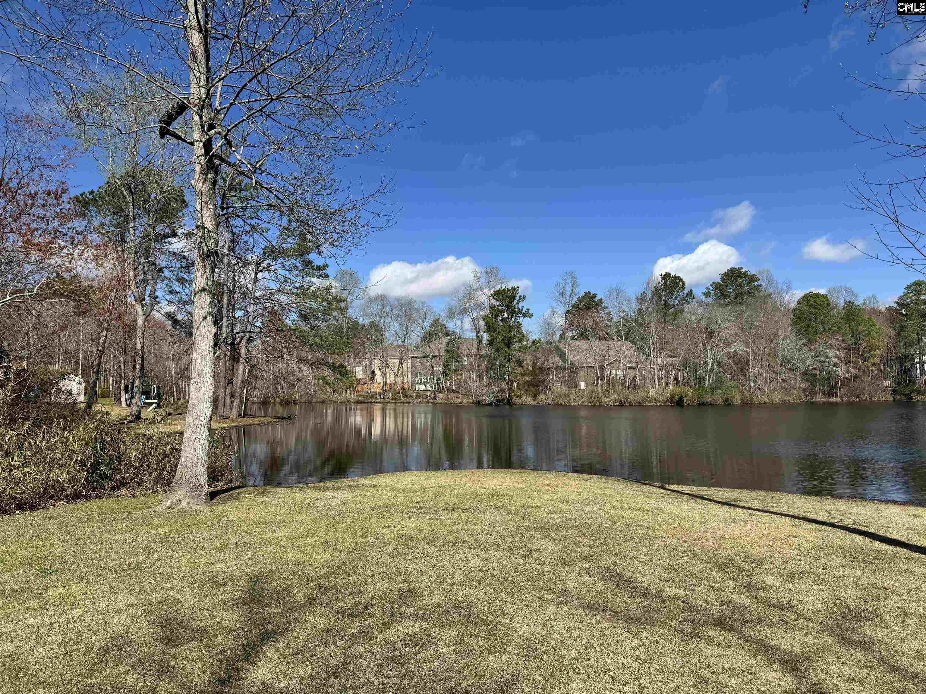 604 Corkscrew Lane Blythewood, SC 29016