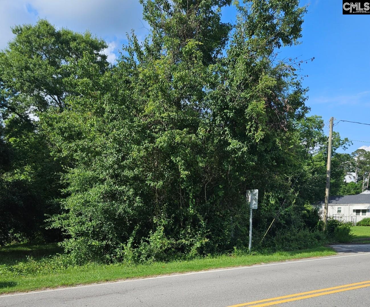 1711 Chestnut Street Orangeburg, SC 29115