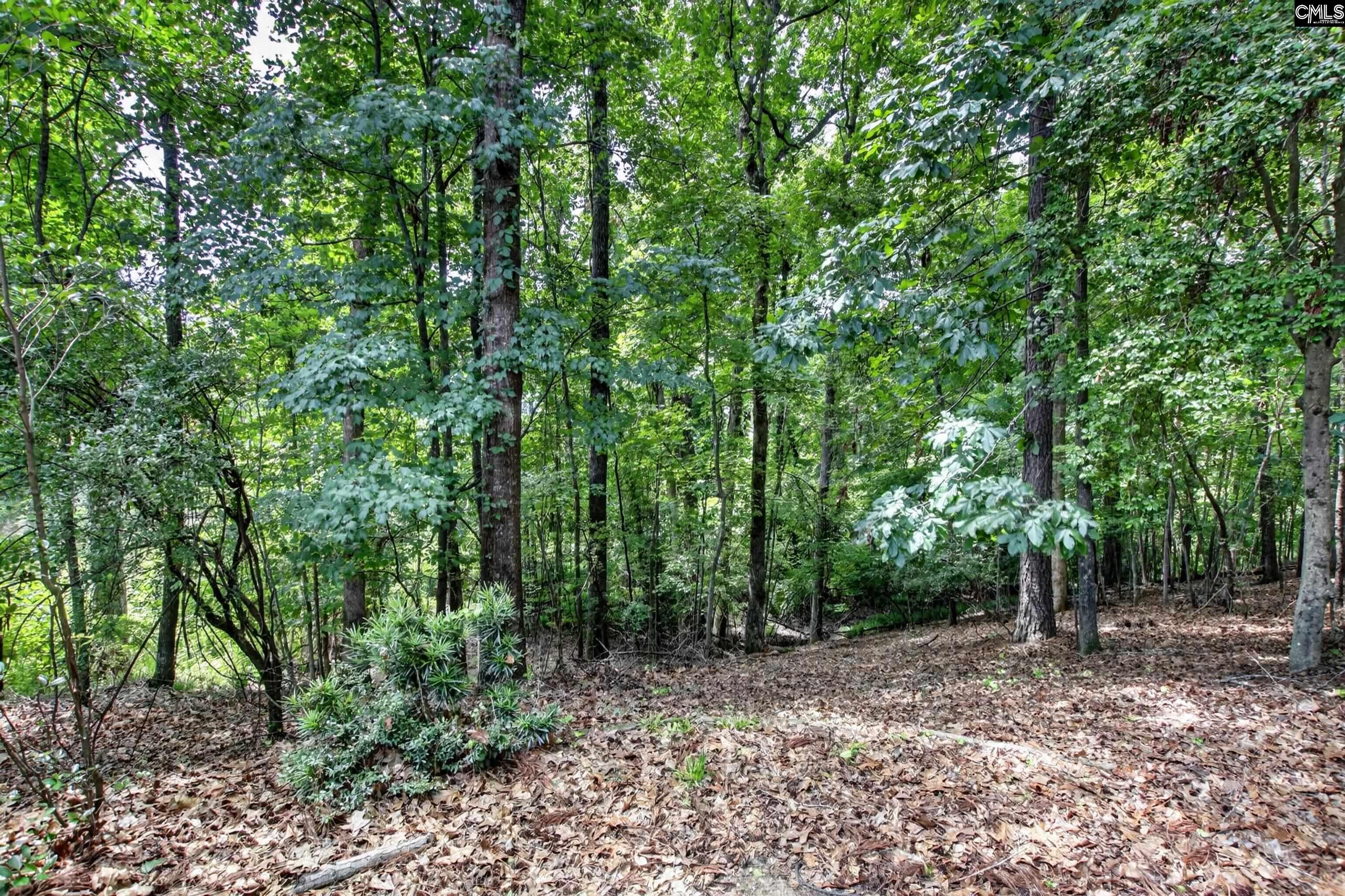 113 Athena Lane Lexington, SC 29072