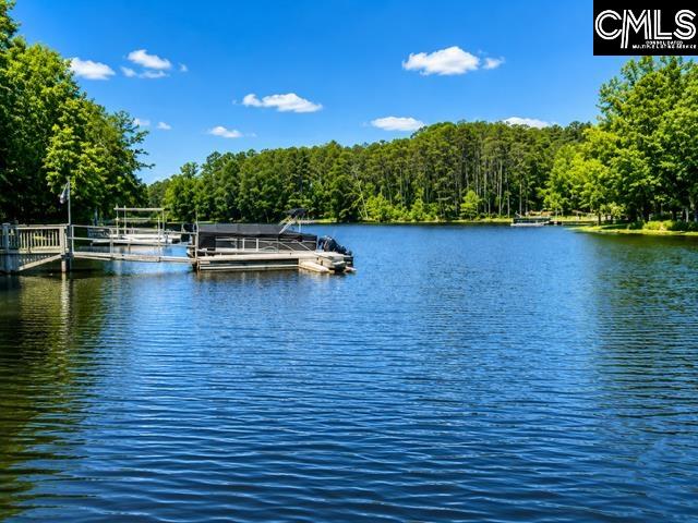 309 Bent Oak Drive Chapin, SC 29036-0000
