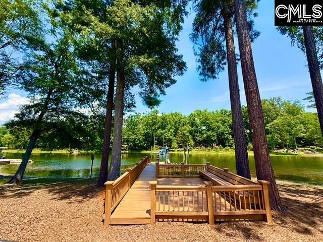 309 Bent Oak Drive Chapin, SC 29036-0000
