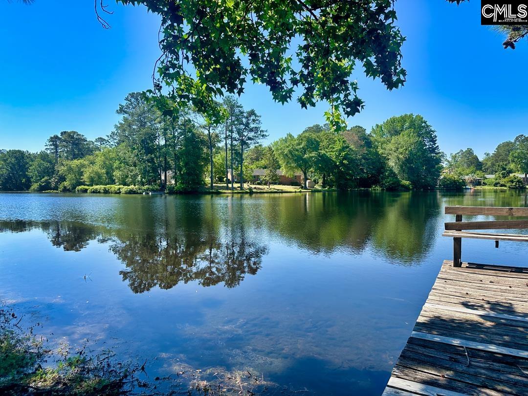 308 N Chelsea Road Columbia, SC 29223