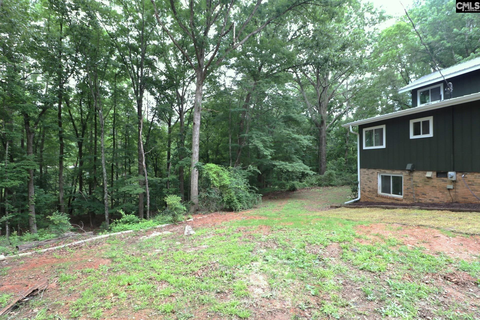163 Pinewood Drive Chapin, SC 29036