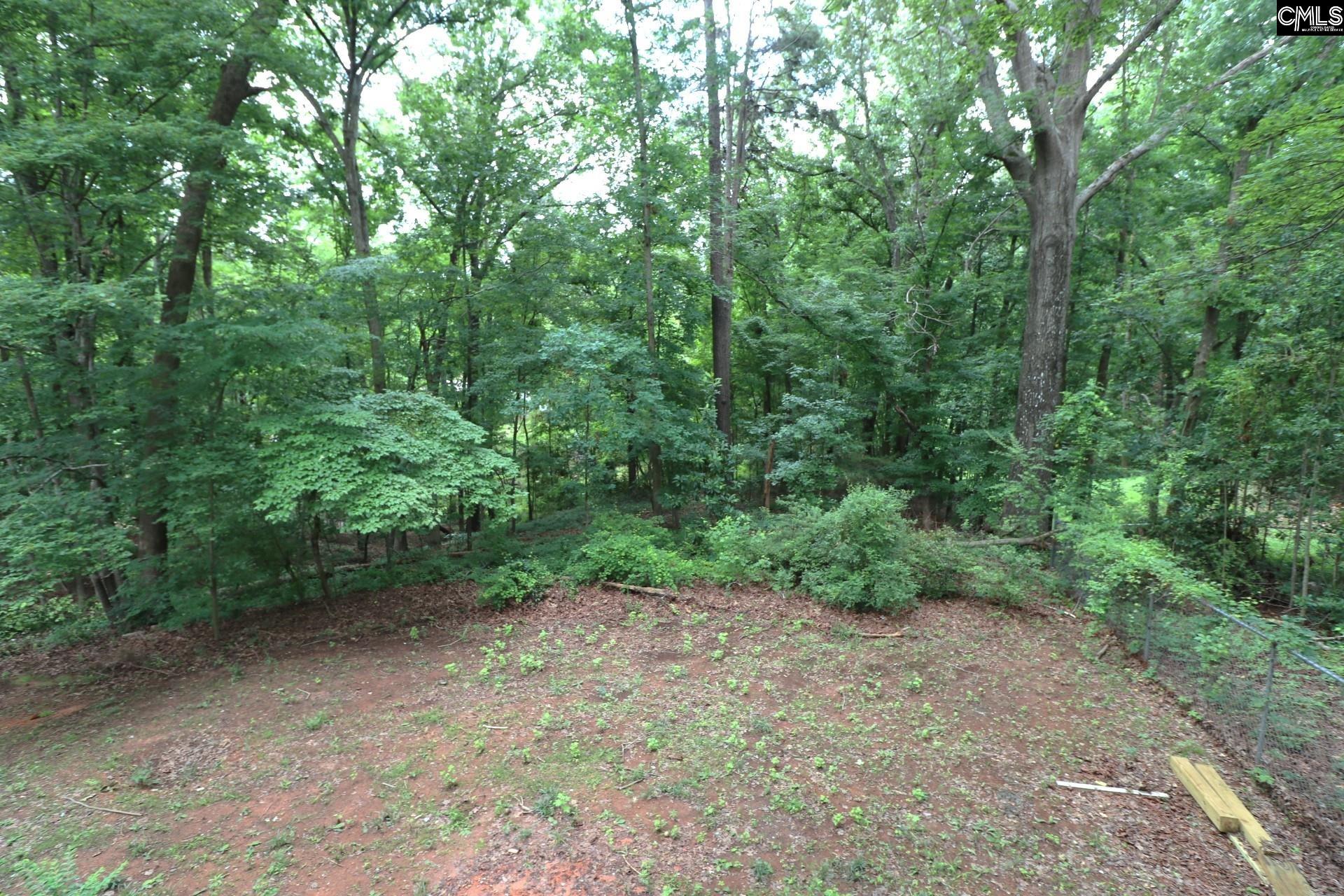 163 Pinewood Drive Chapin, SC 29036