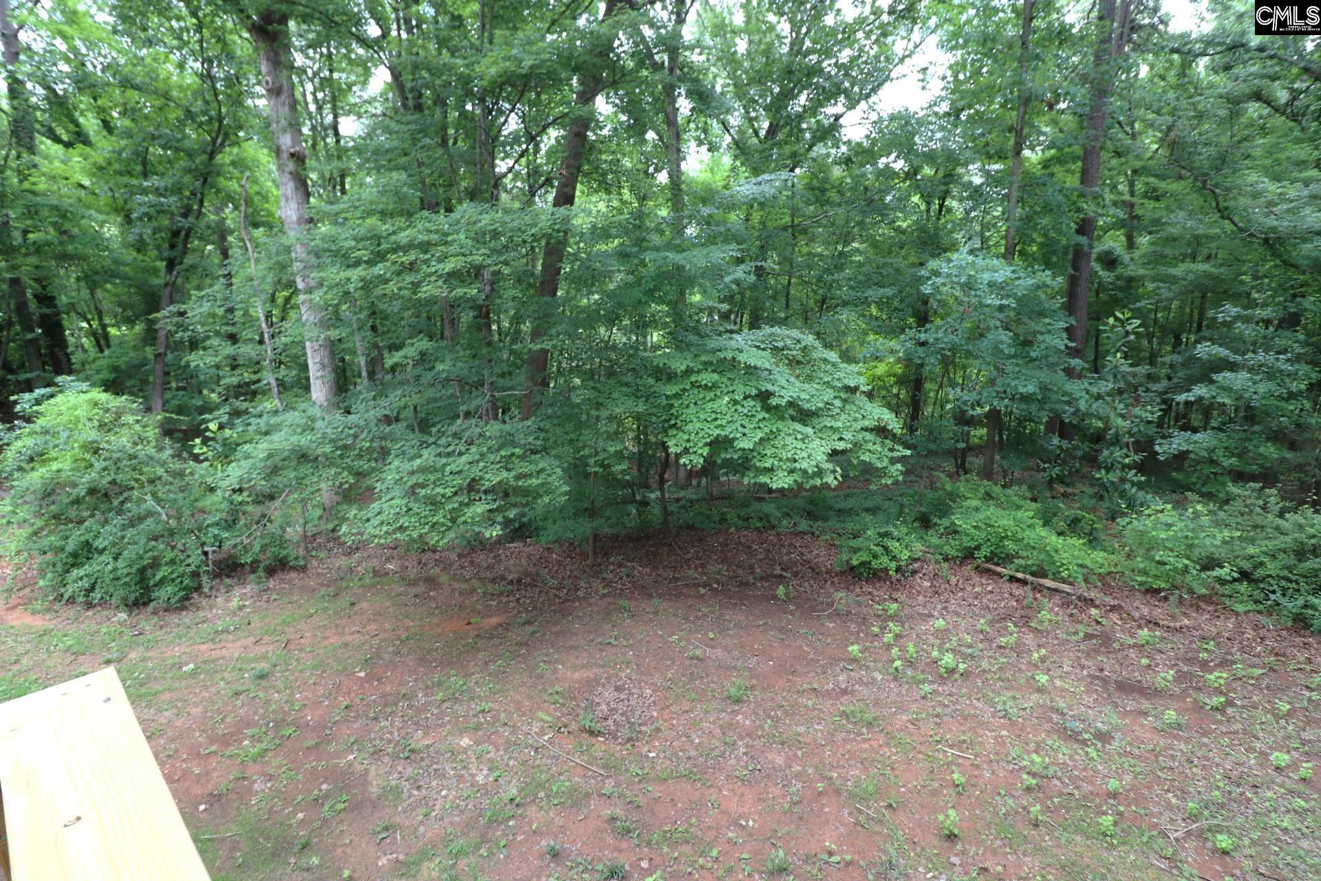 163 Pinewood Drive Chapin, SC 29036