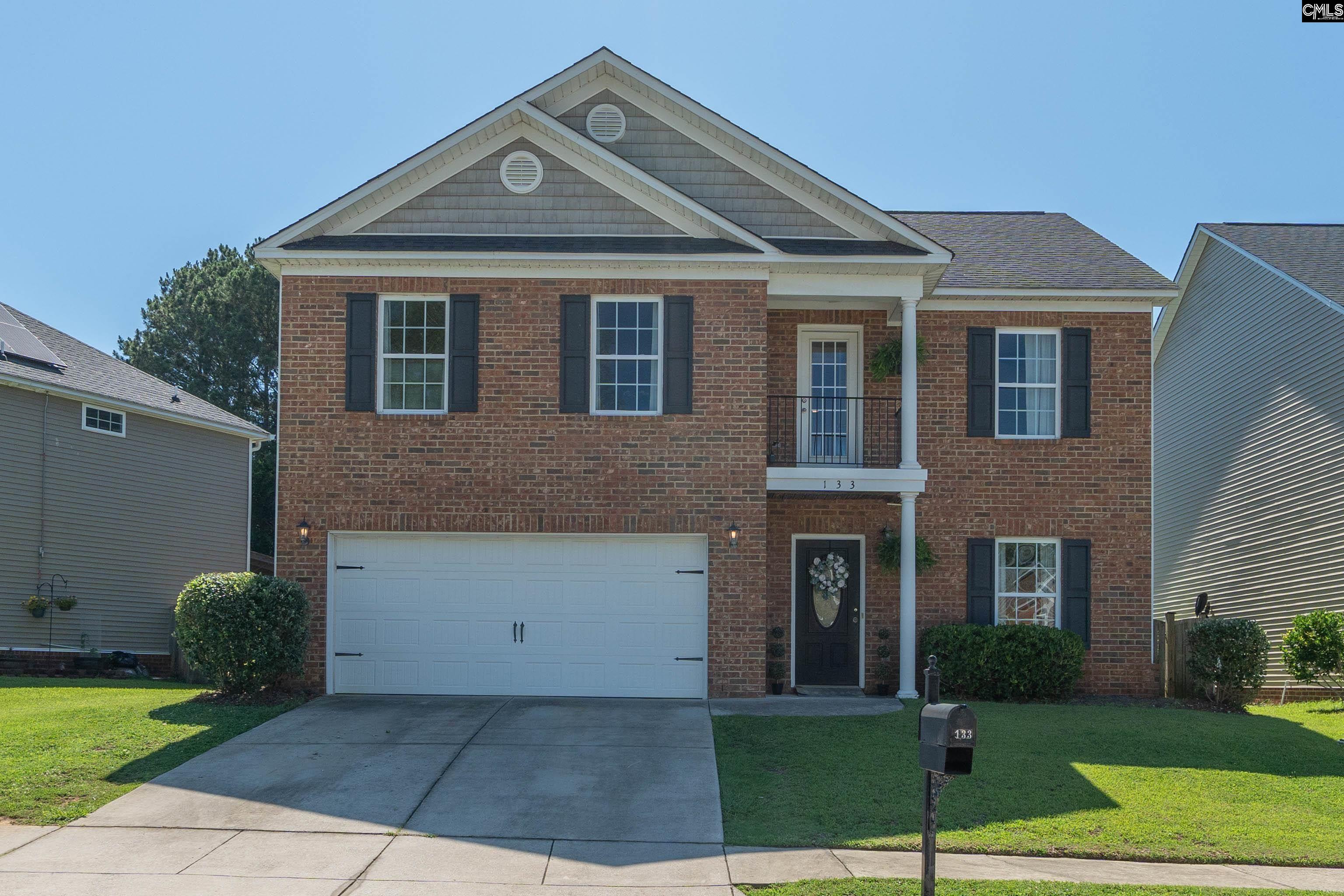 133 Palm St Chapin, SC 29036