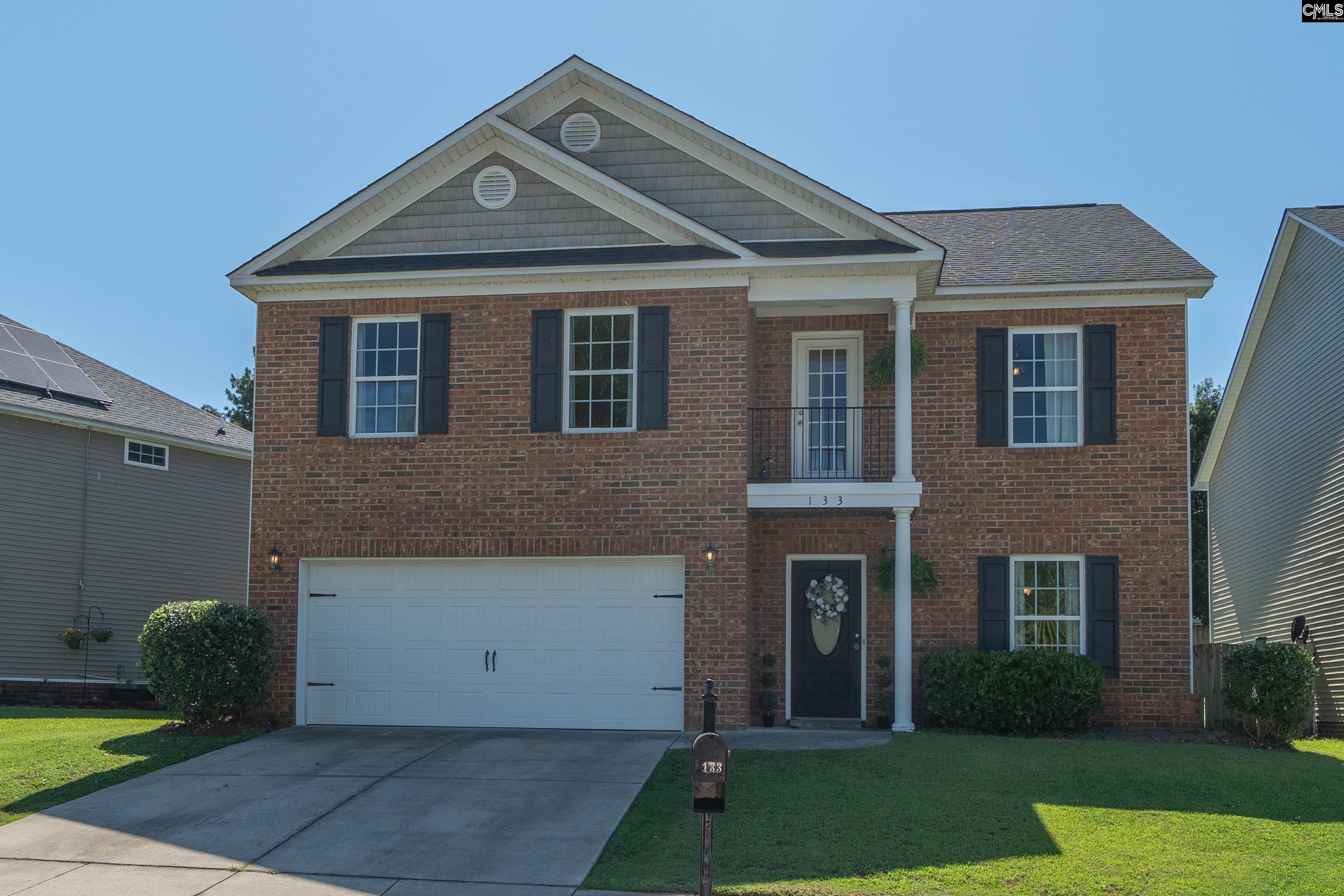 133 Palm St Chapin, SC 29036