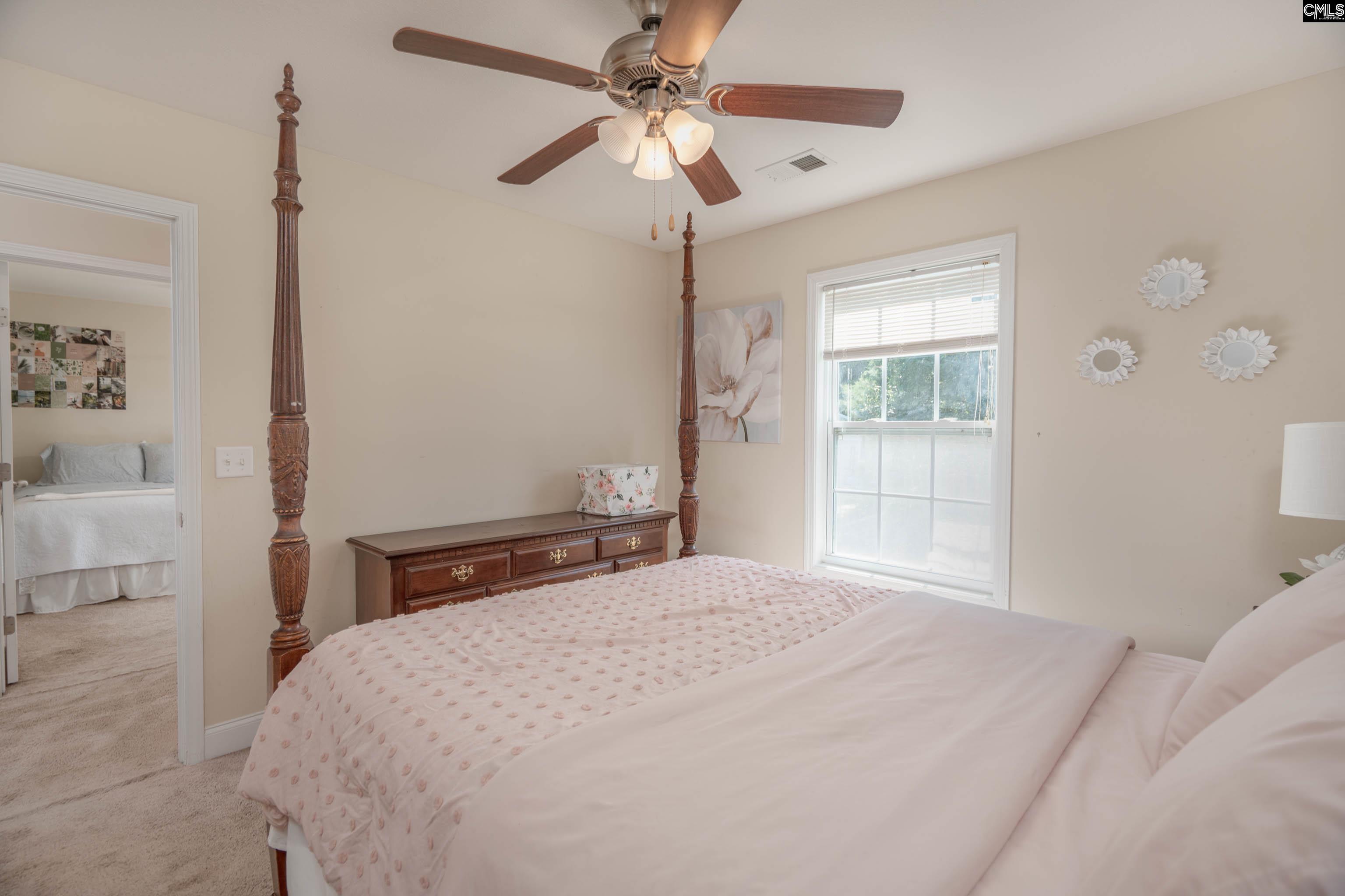 133 Palm St Chapin, SC 29036