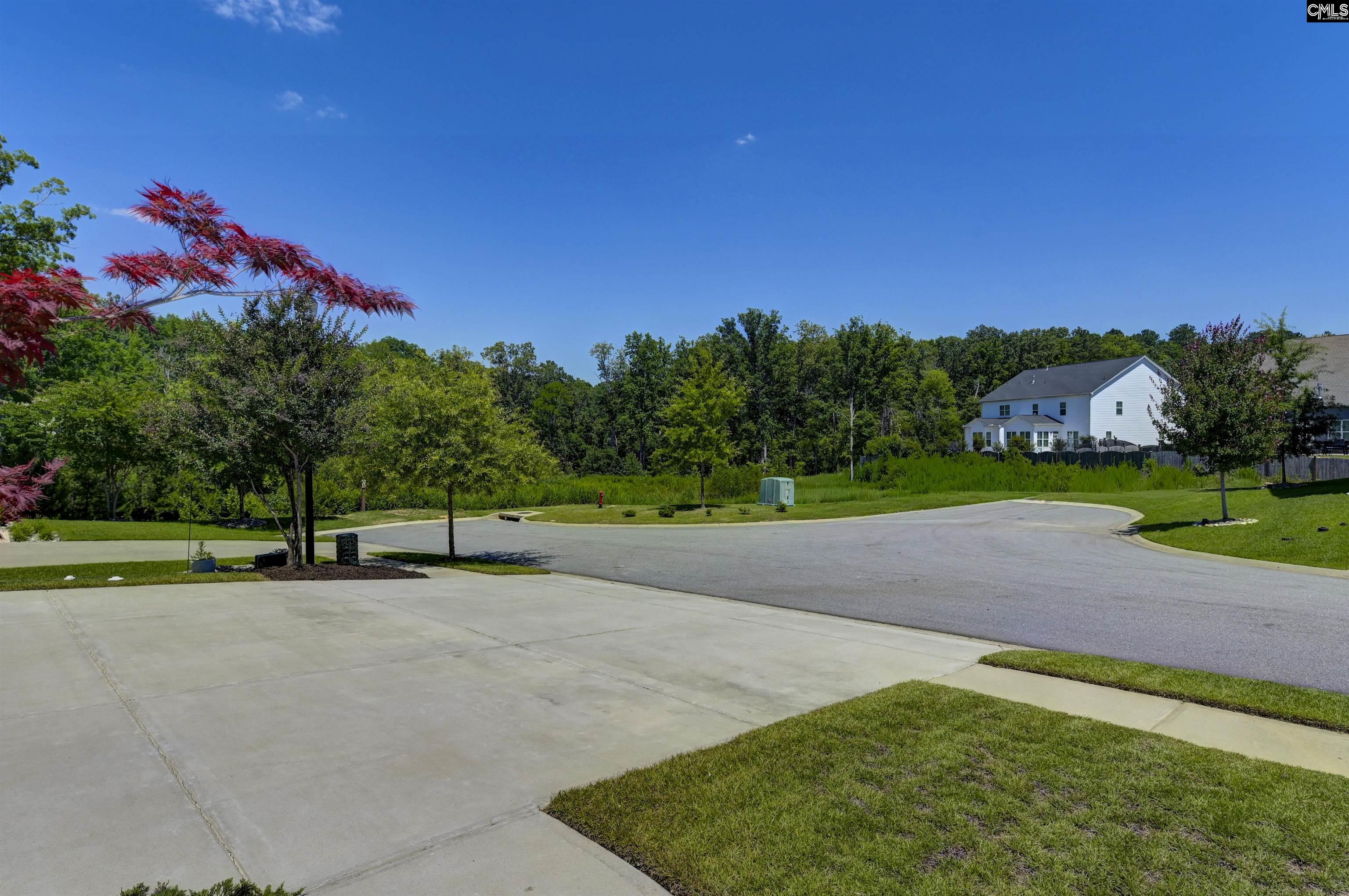 454 Malachite Lane Chapin, SC 29036