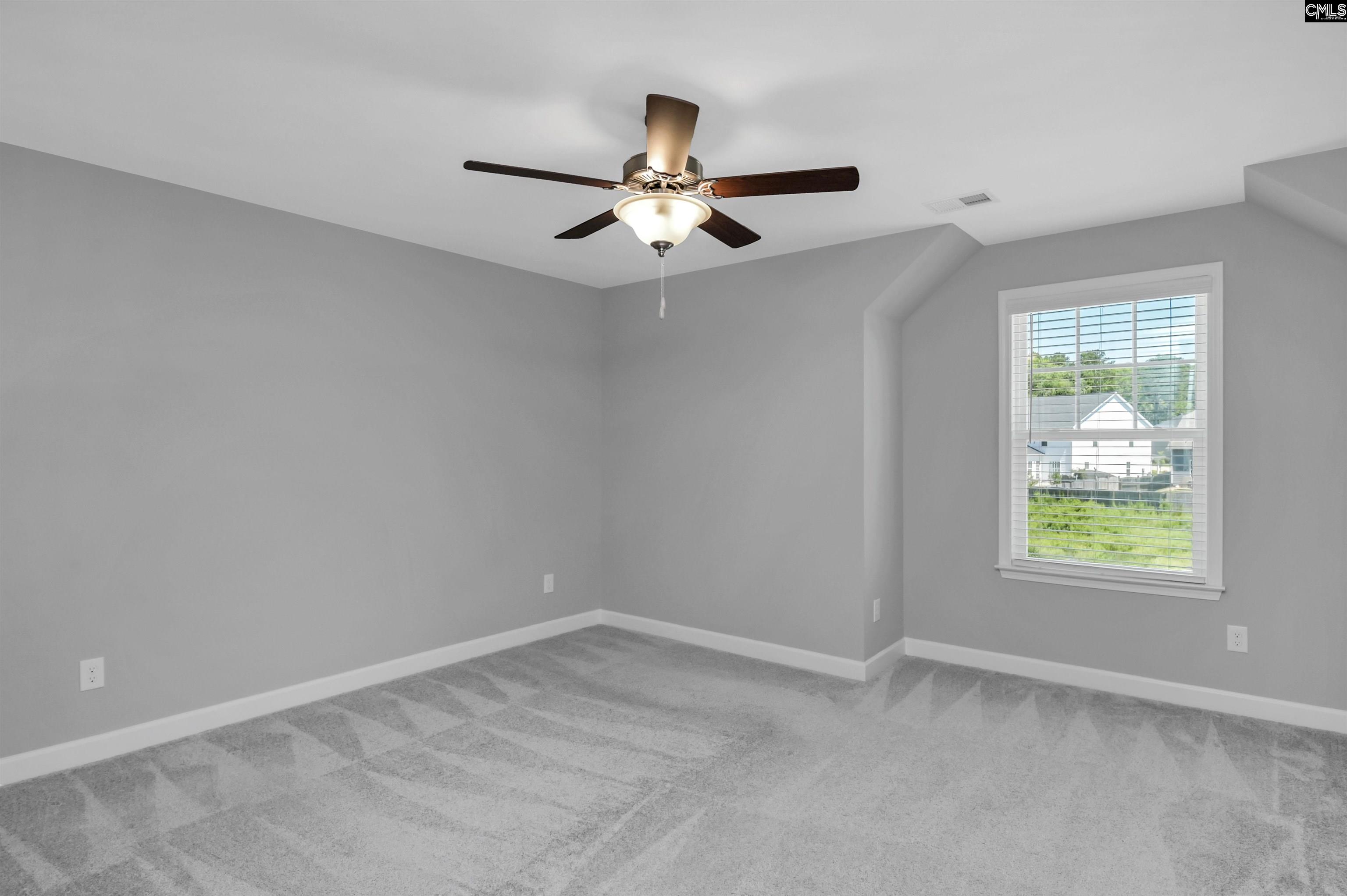 454 Malachite Lane Chapin, SC 29036