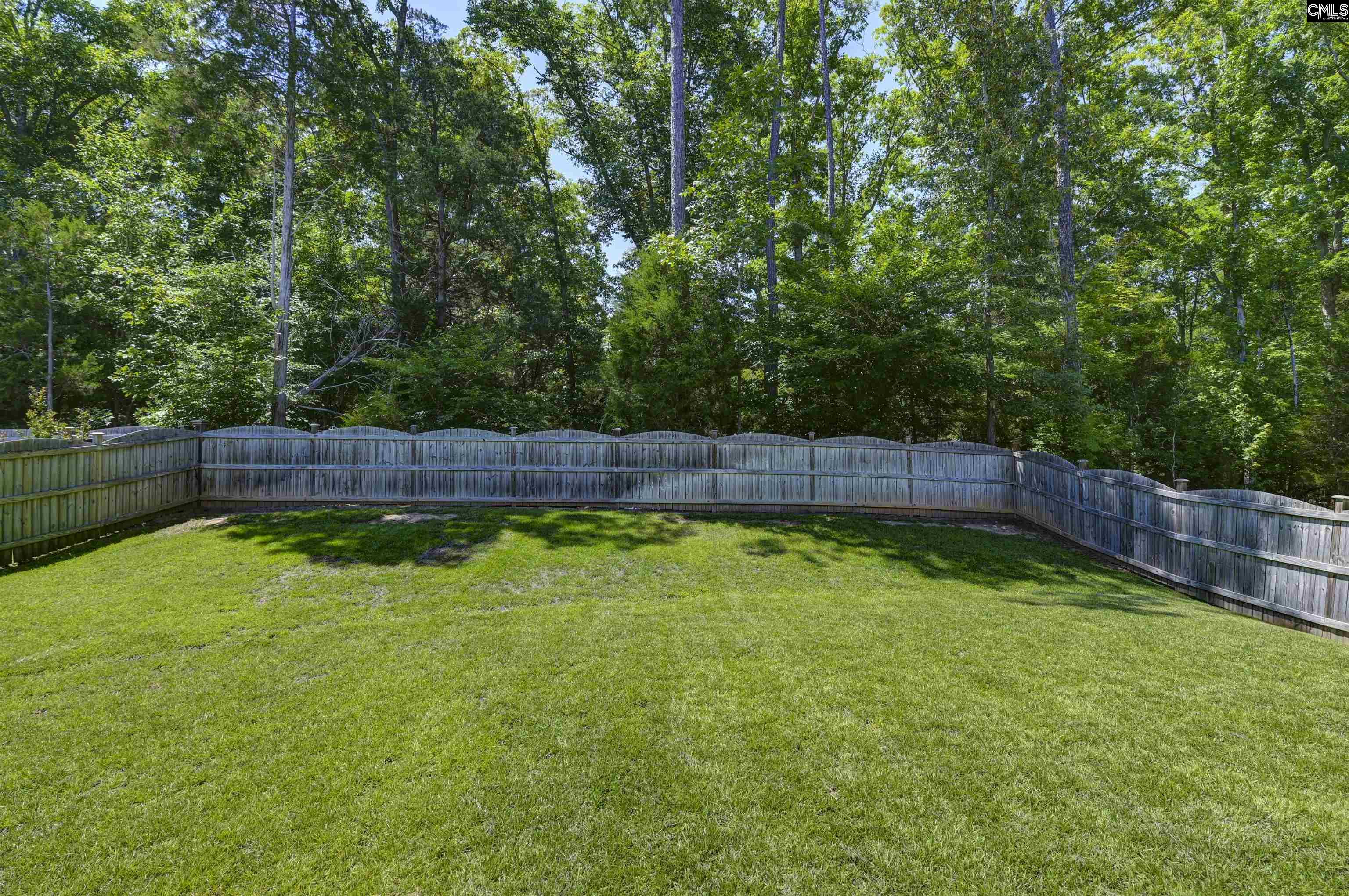454 Malachite Lane Chapin, SC 29036