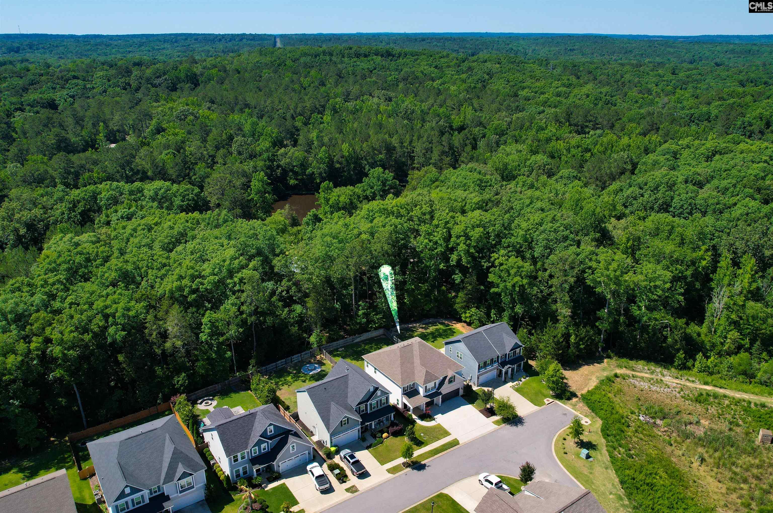 454 Malachite Lane Chapin, SC 29036