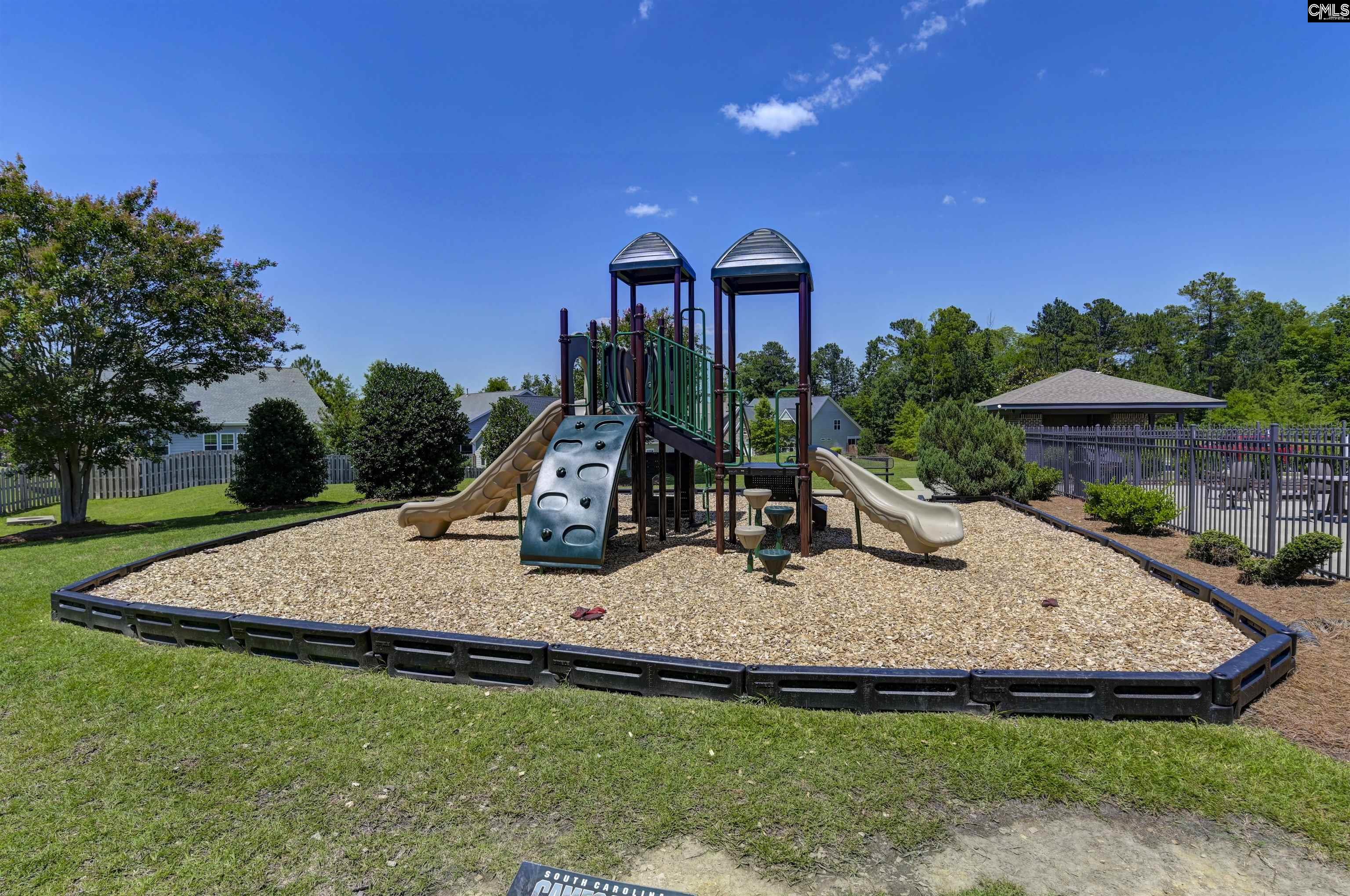 454 Malachite Lane Chapin, SC 29036