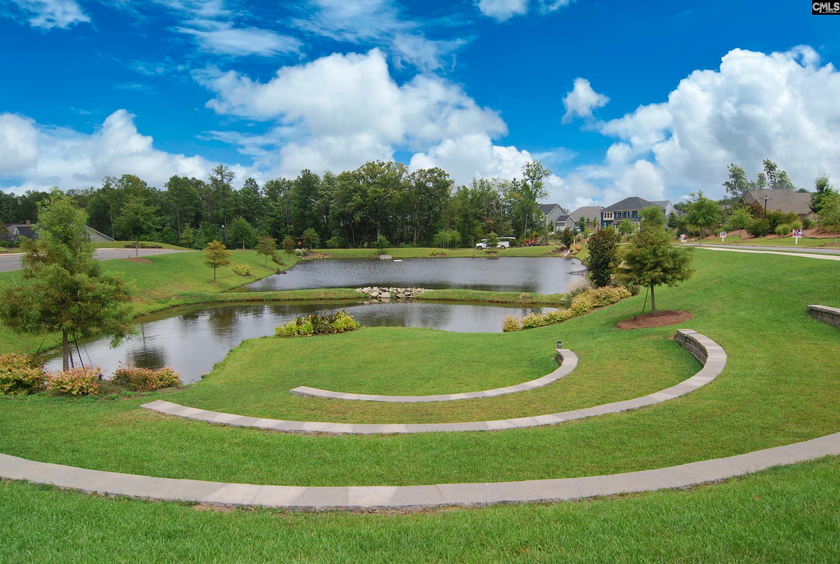 454 Malachite Lane Chapin, SC 29036