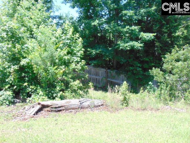392 Blythe Creek Drive Blythewood, SC 29016