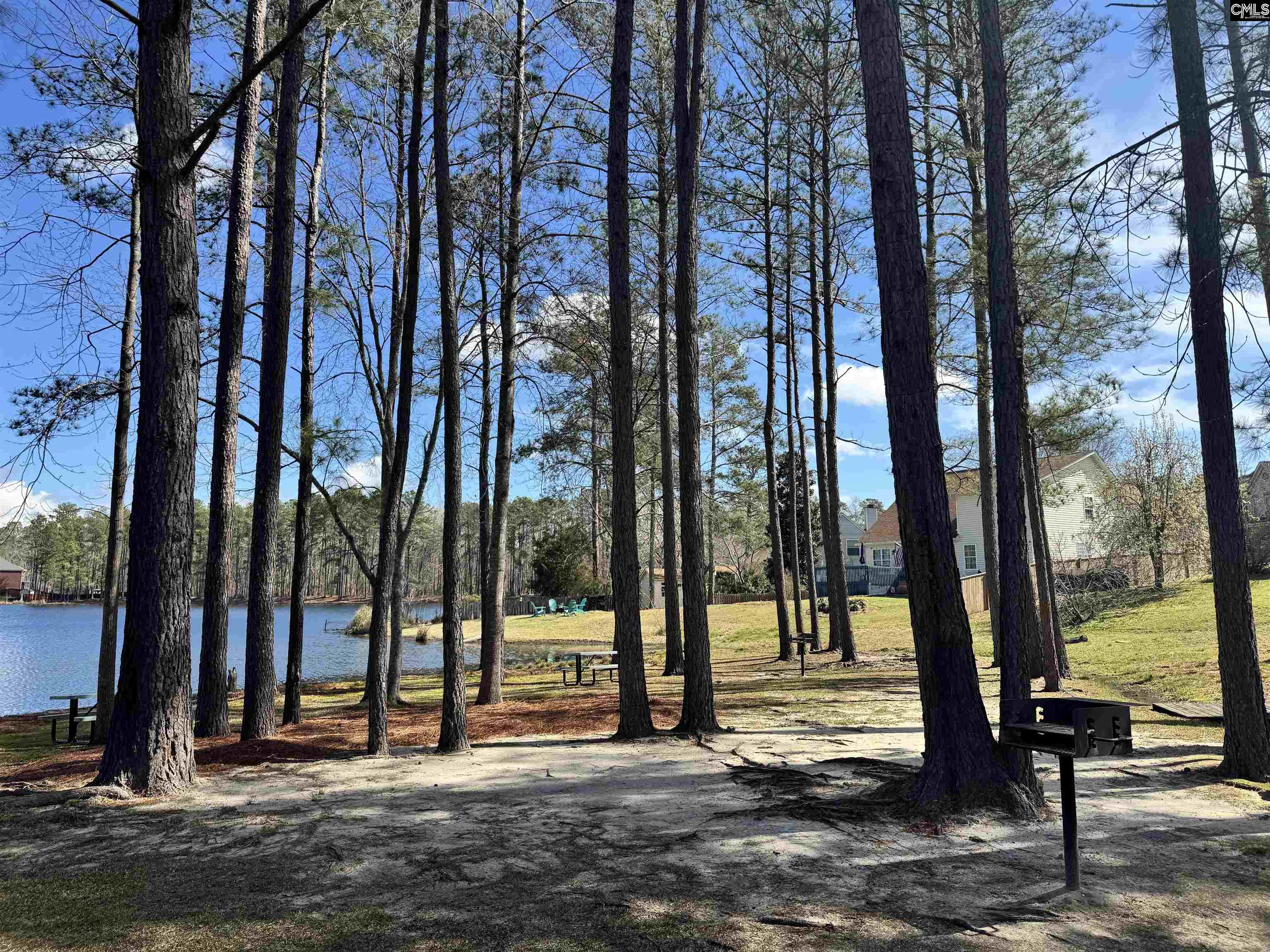 621 Corkscrew Lane Blythewood, SC 29016
