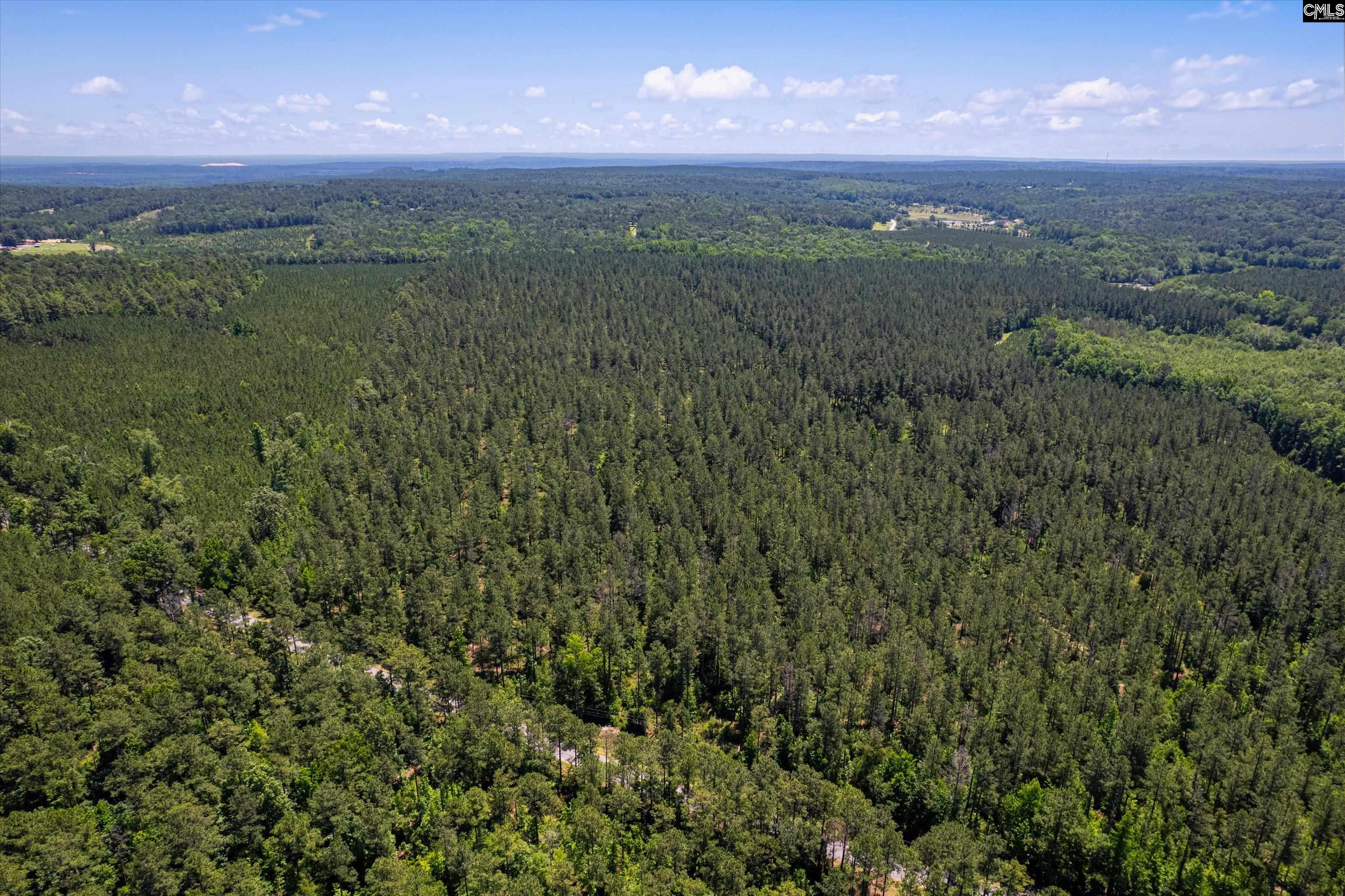 TBD Toms Creek Road Hopkins, SC 28061