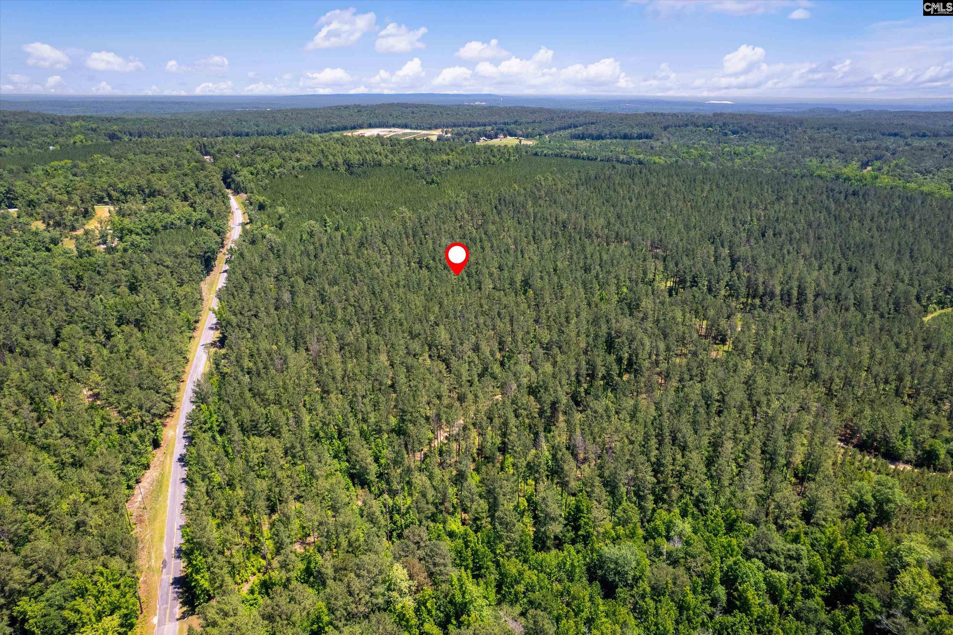 TBD Toms Creek Road Hopkins, SC 28061