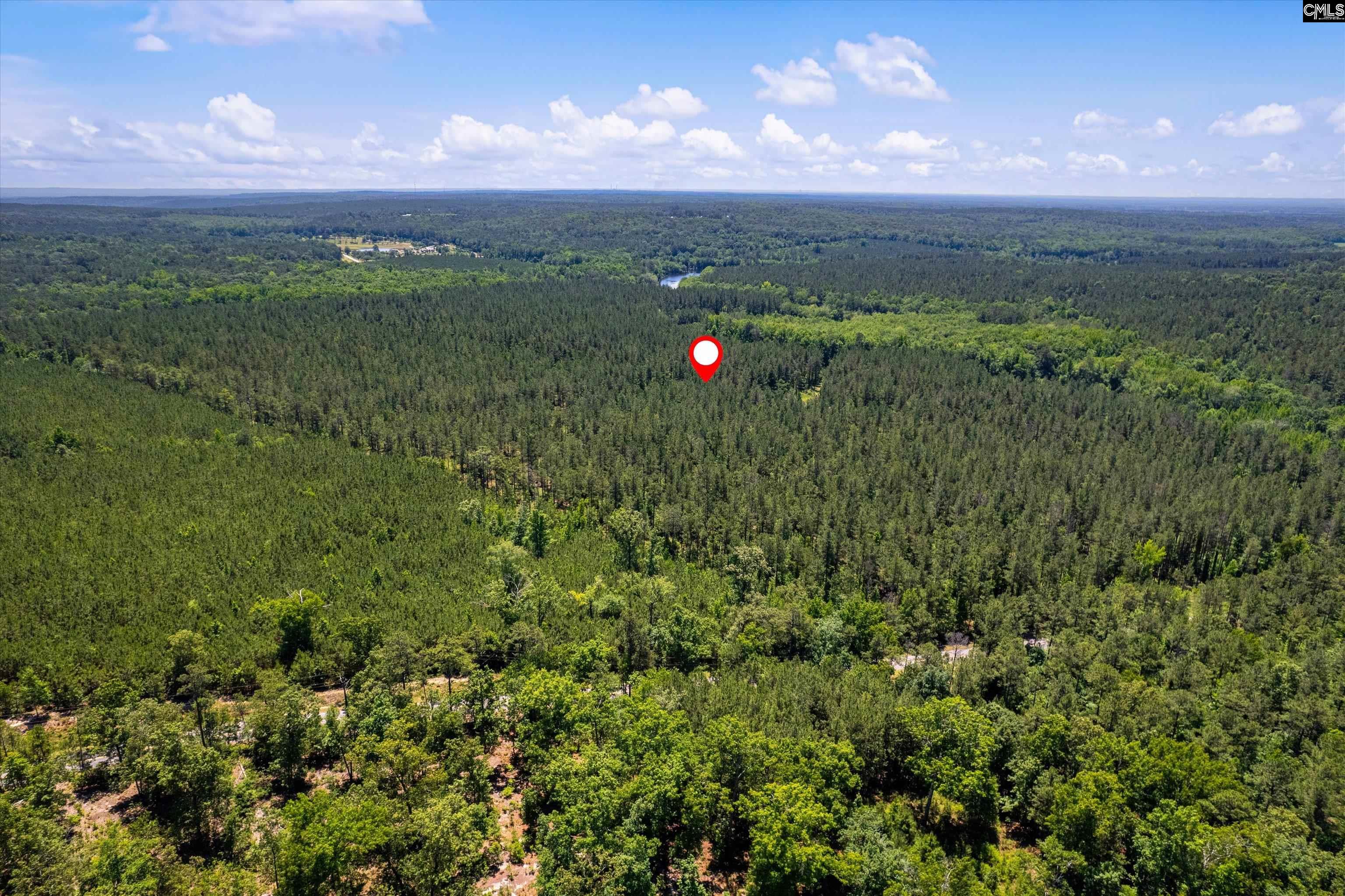 TBD Toms Creek Road Hopkins, SC 28061