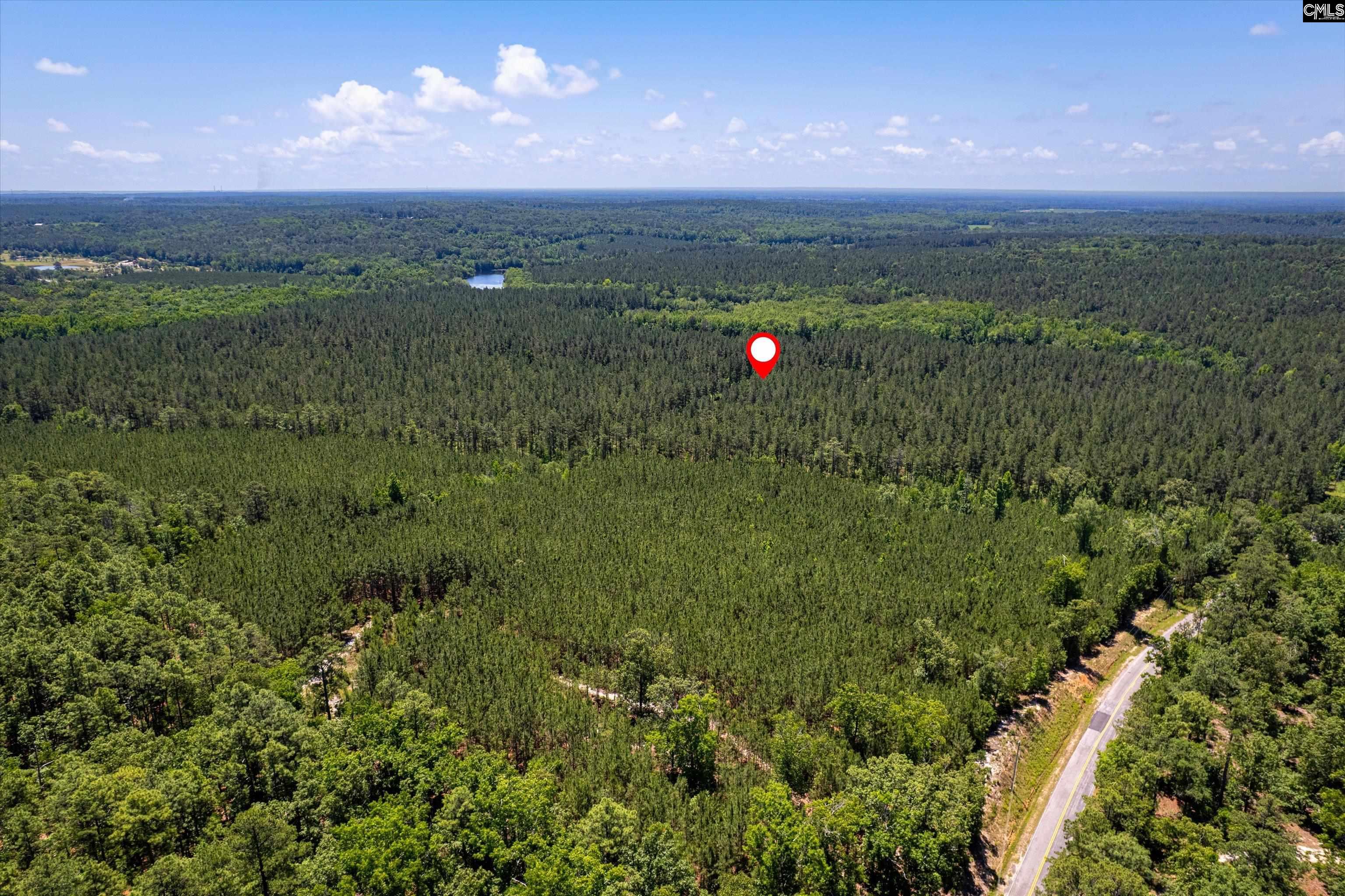 TBD Toms Creek Road Hopkins, SC 28061