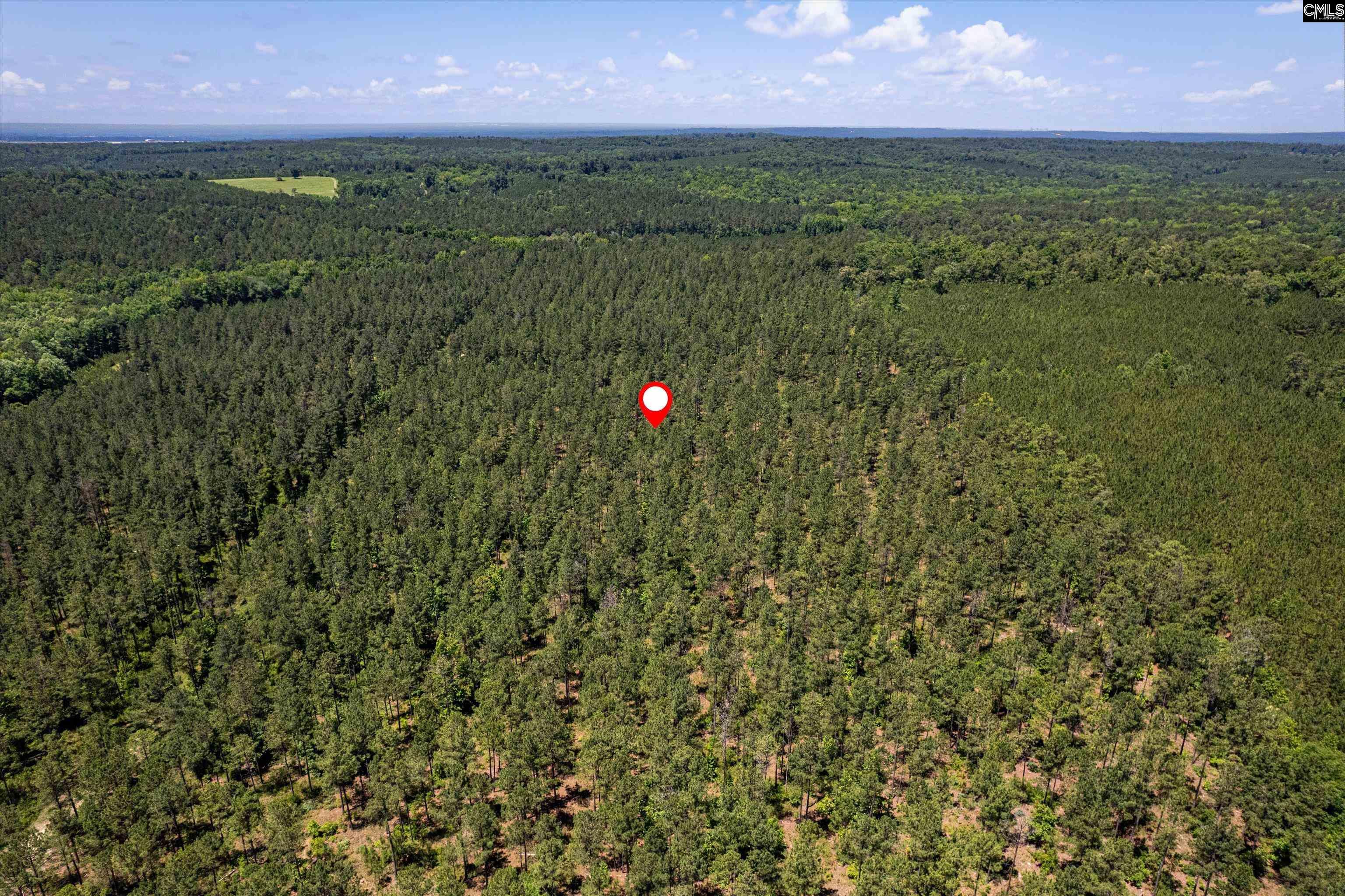 TBD Toms Creek Road Hopkins, SC 28061