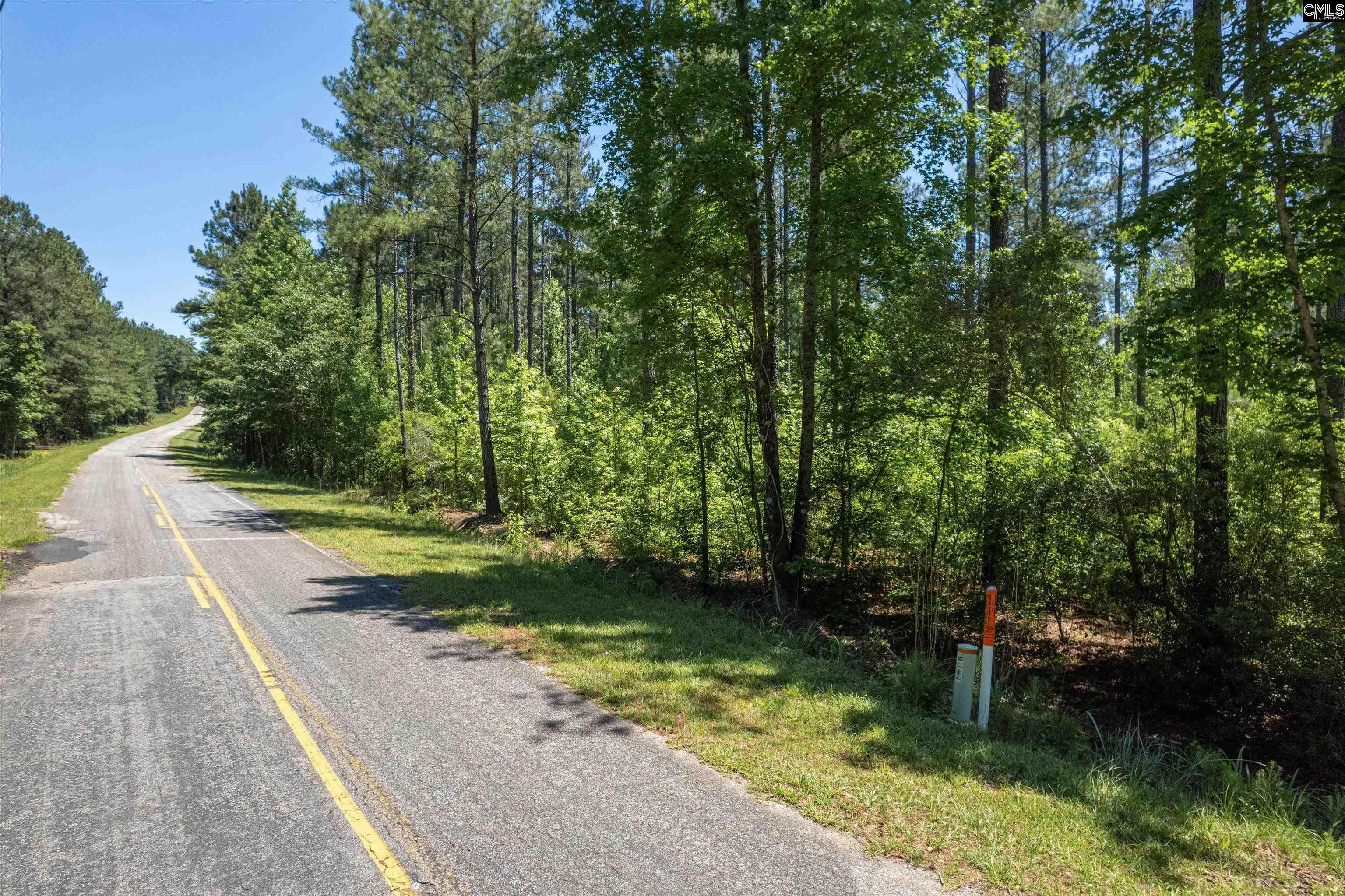 TBD Toms Creek Road Hopkins, SC 28061