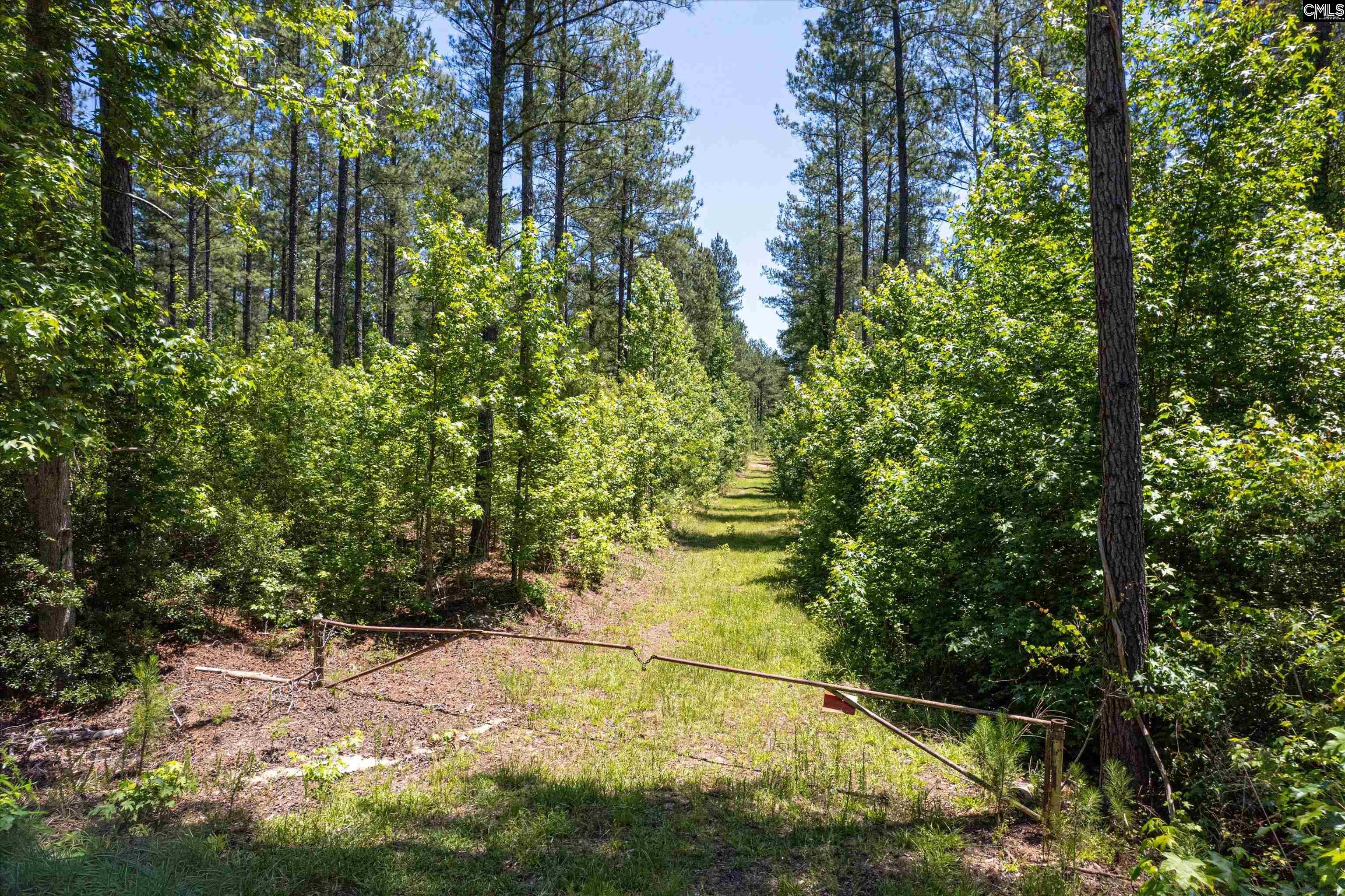TBD Toms Creek Road Hopkins, SC 28061