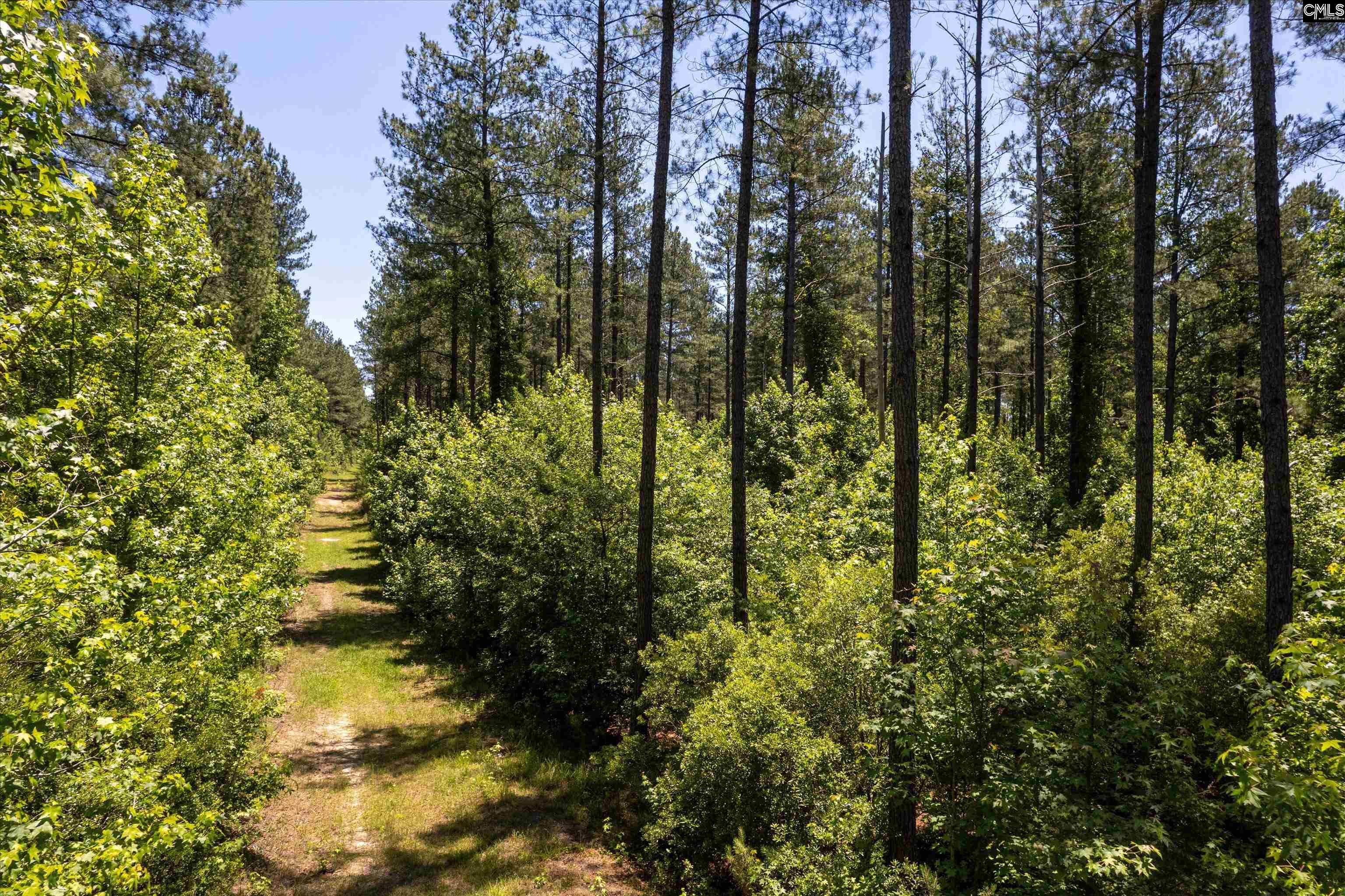 TBD Toms Creek Road Hopkins, SC 28061