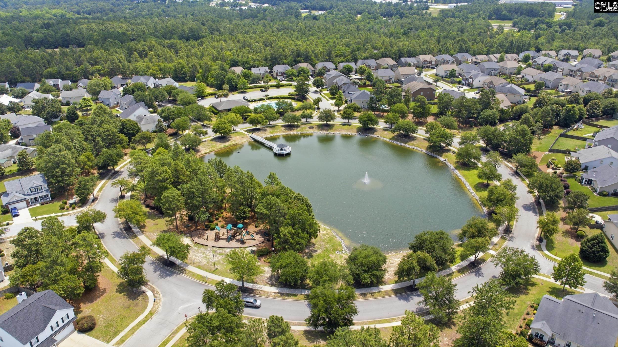 156 Drooping Leaf Drive Lexington, SC 29072-6873