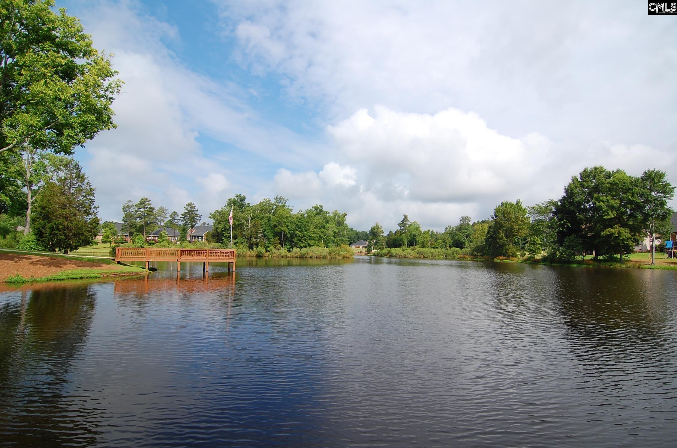 103 Lake Hilton Drive Chapin, SC 29036
