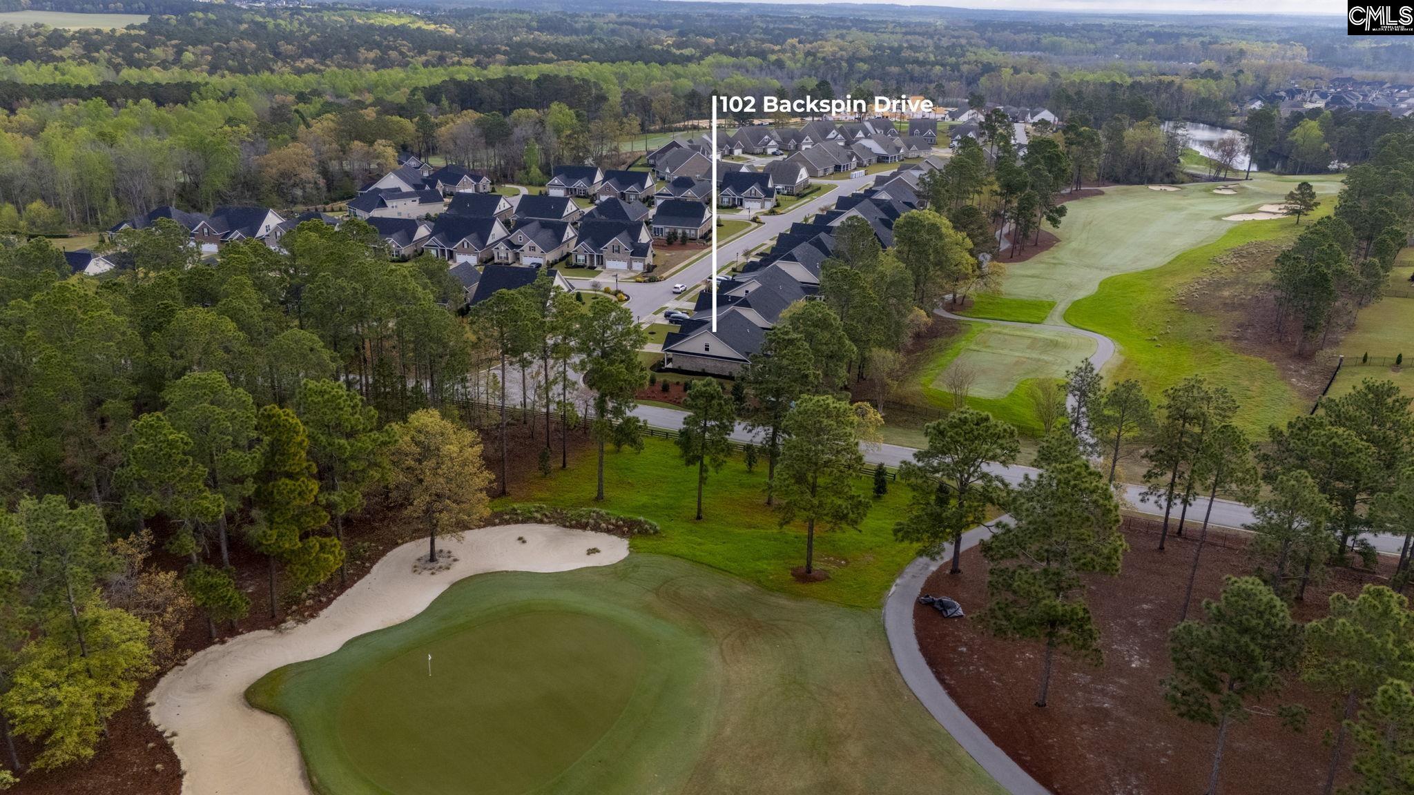 102 Backspin Drive Elgin, SC 29045