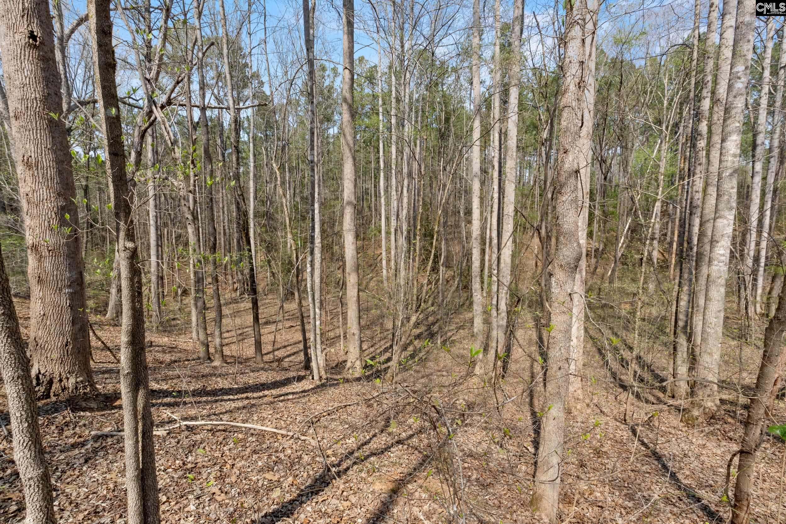 1778 White Road Camden, SC 29020