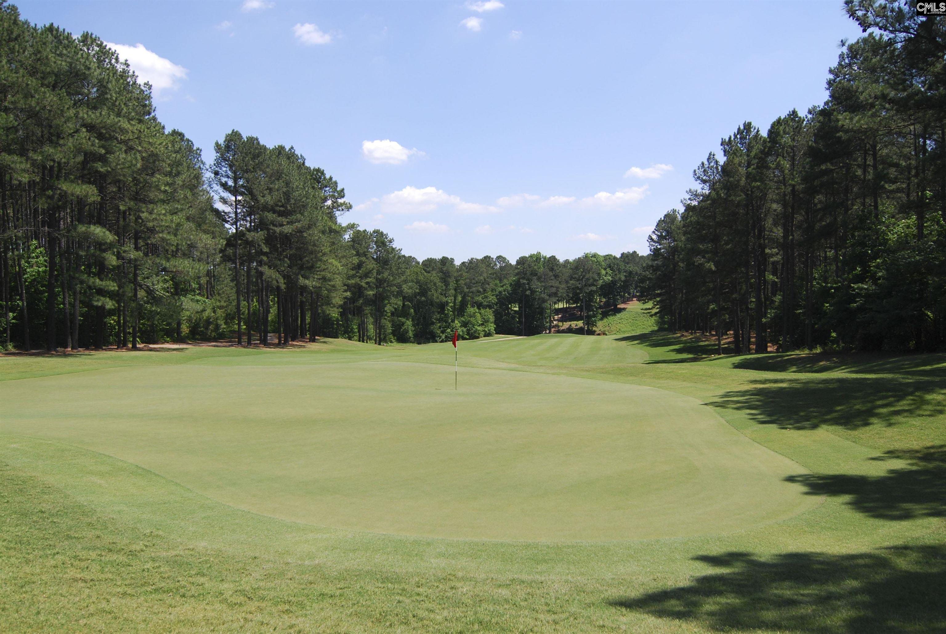 688 Scarlett Baby Drive Blythewood, SC 29016