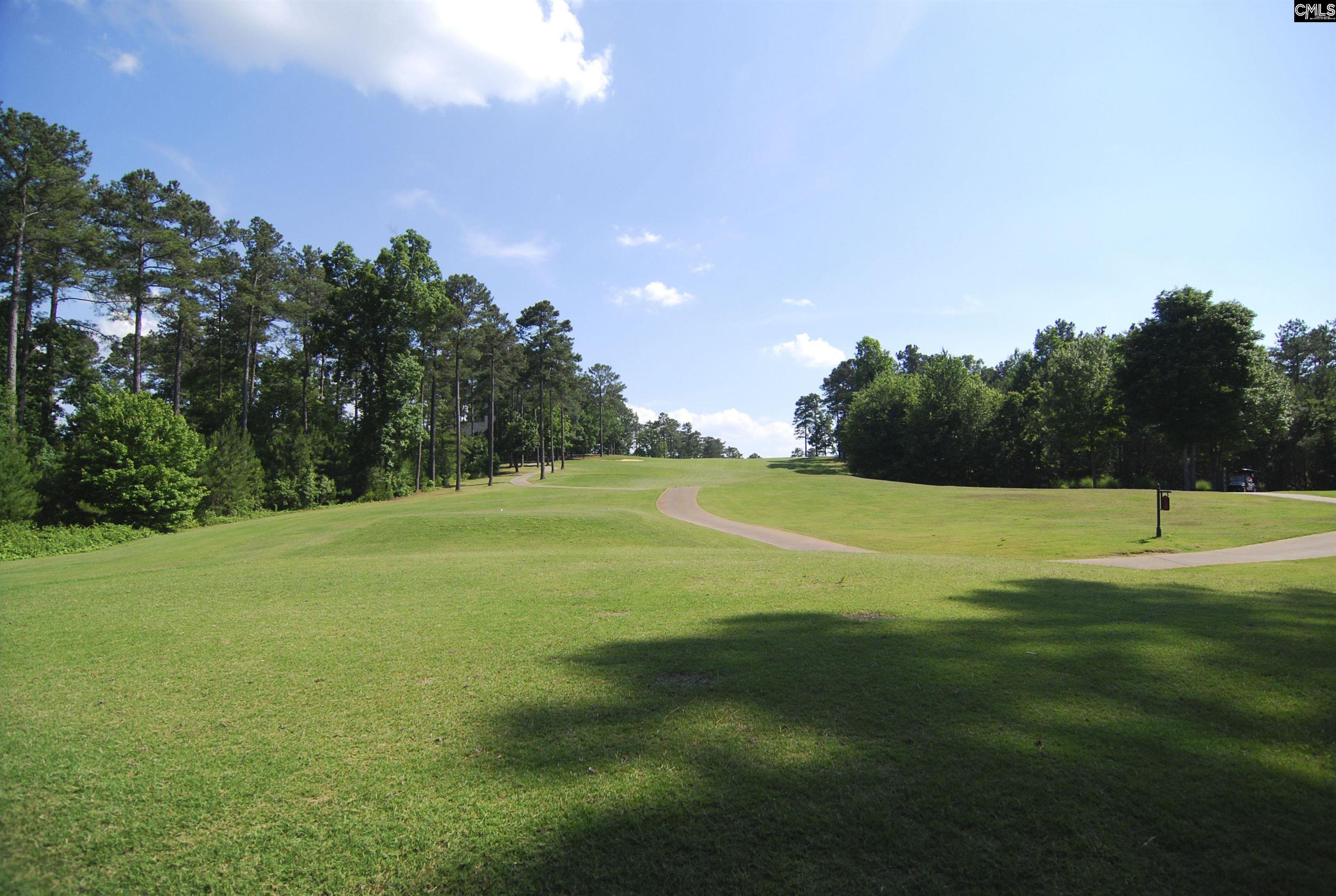 688 Scarlett Baby Drive Blythewood, SC 29016
