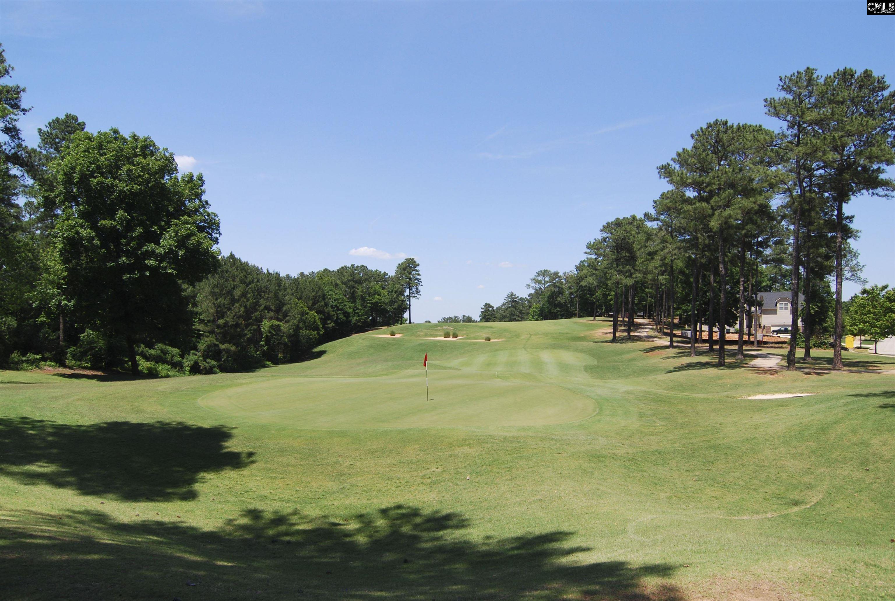 688 Scarlett Baby Drive Blythewood, SC 29016