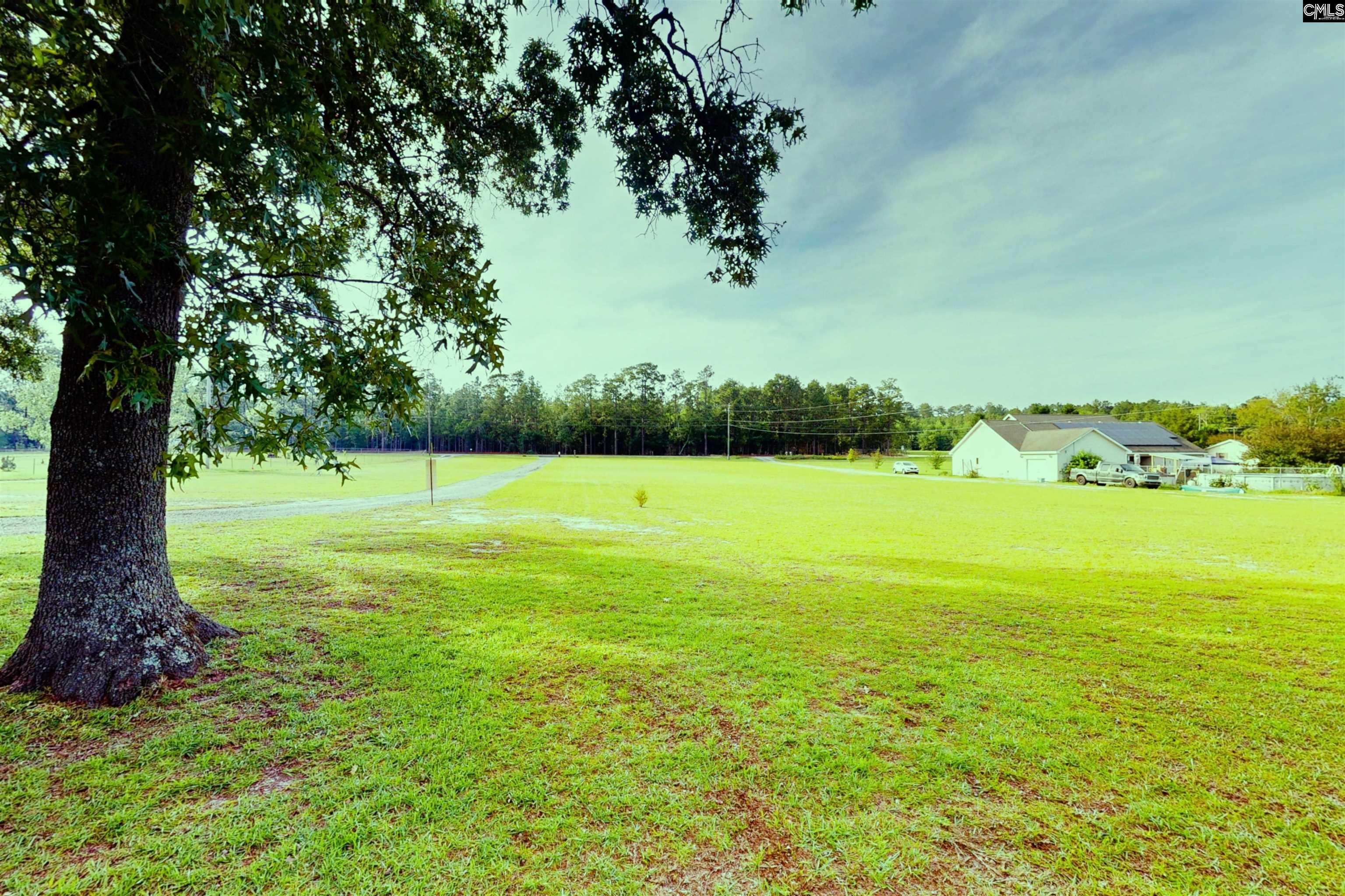 965 Crystal Springs Drive Pelion, SC 29123