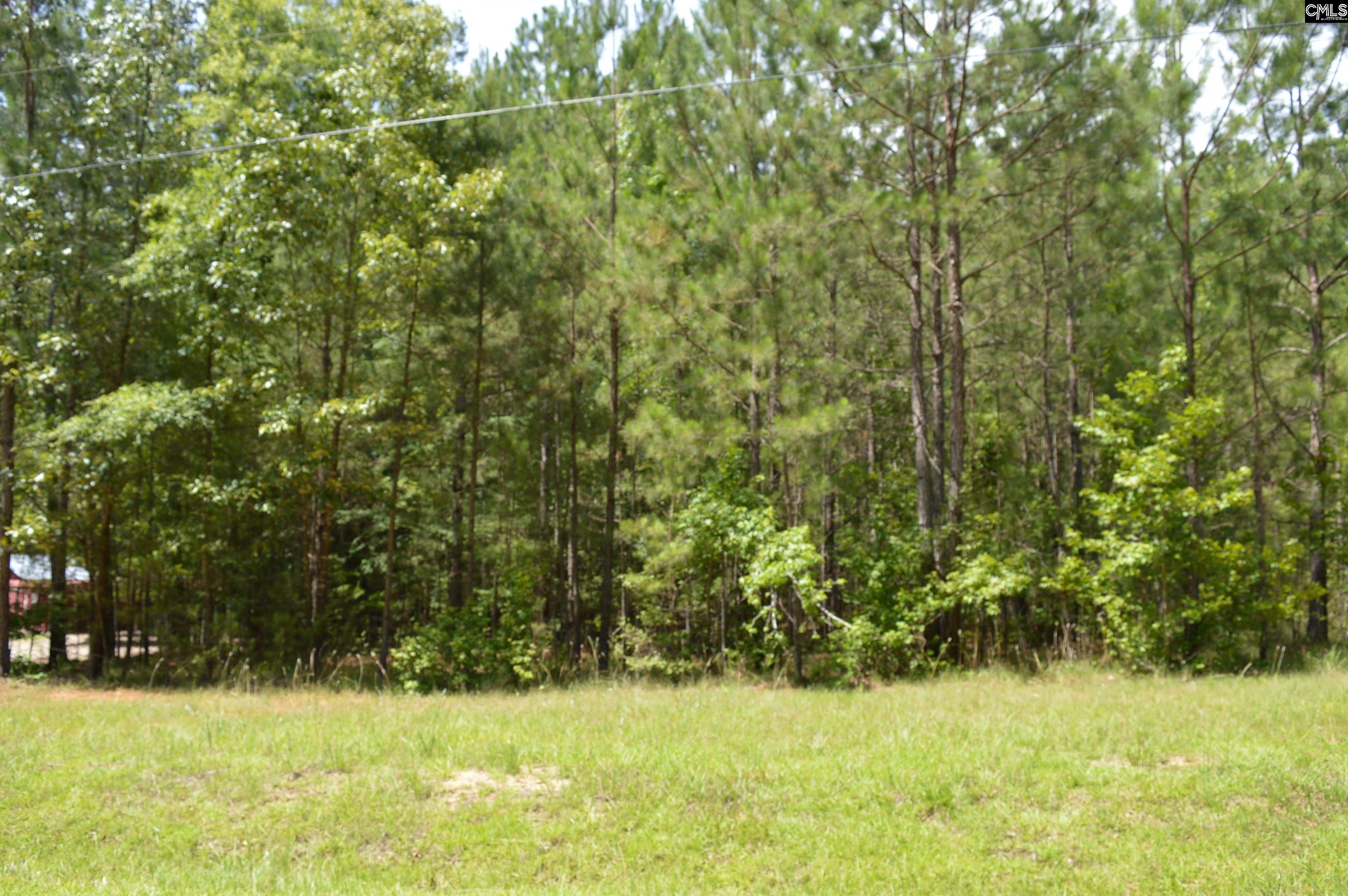 172 Colonels Circle Ridgeway, SC 29130