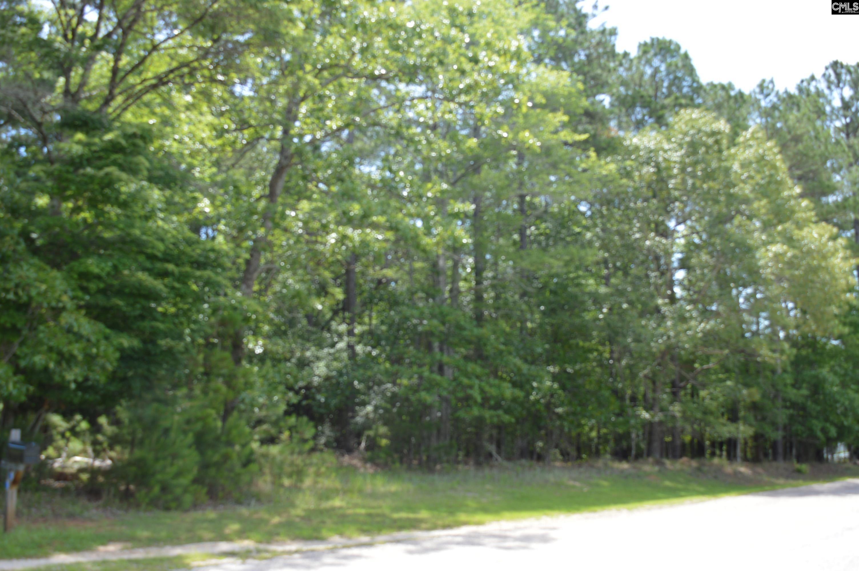 13 Colonels Ridgeway, SC 29130