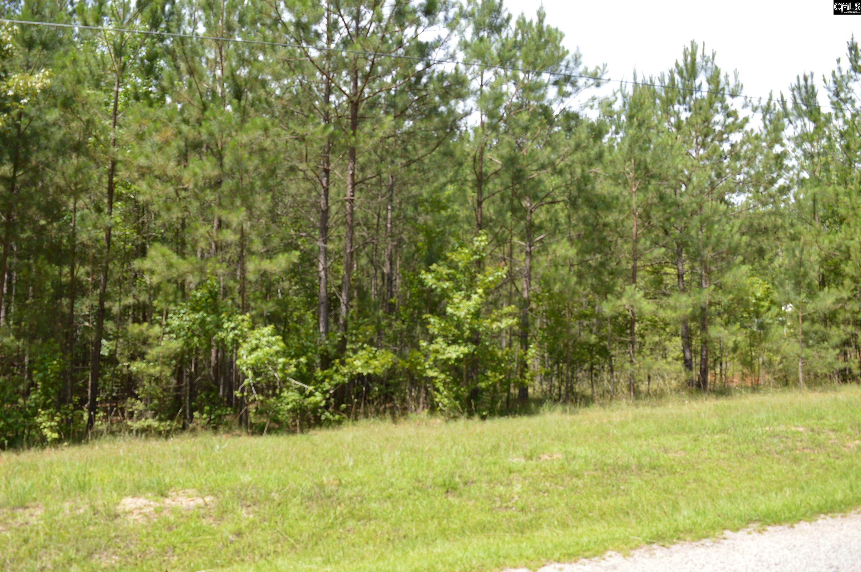 13 Colonels Ridgeway, SC 29130